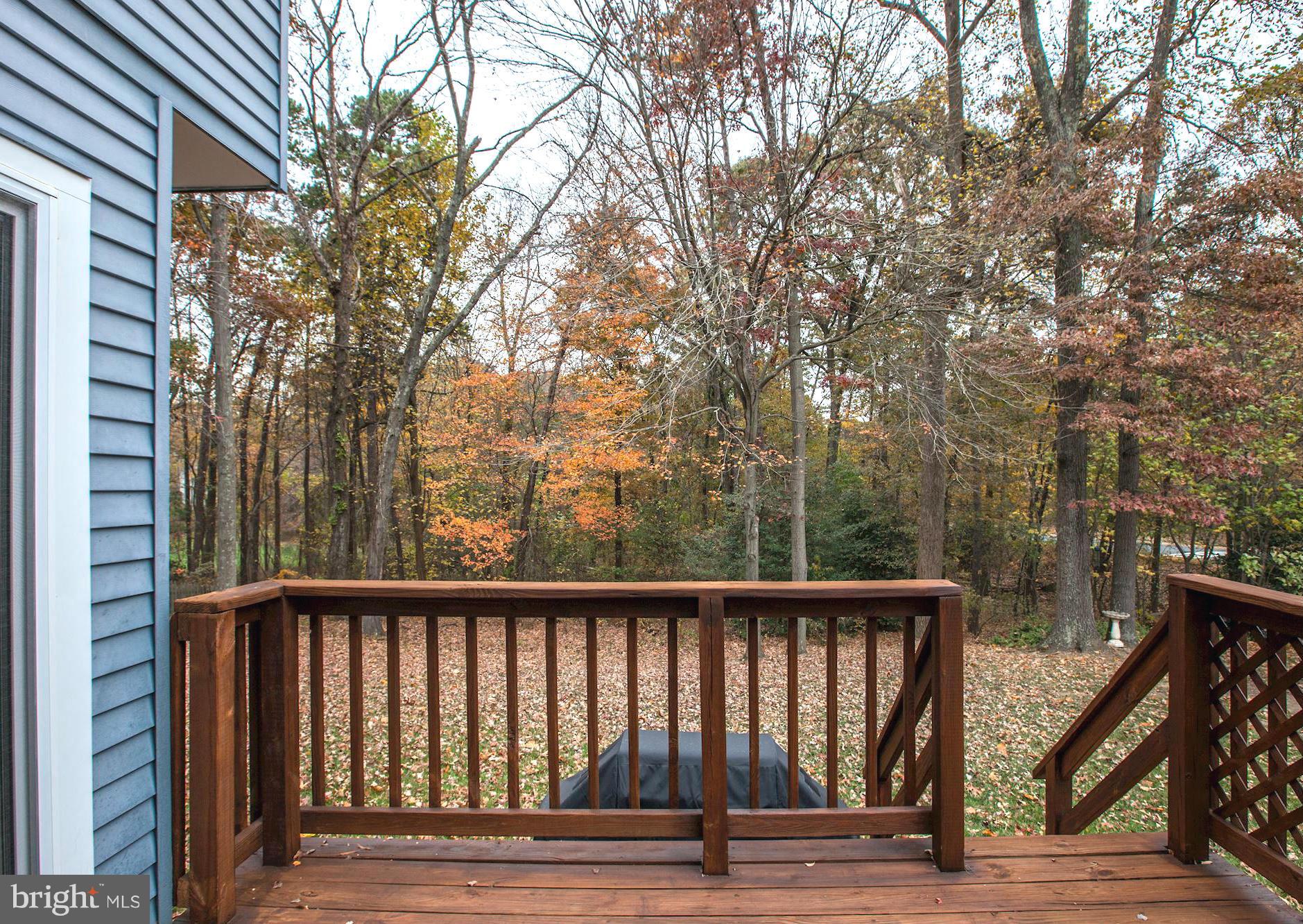 SHIPLEYS CHOICE - Residential