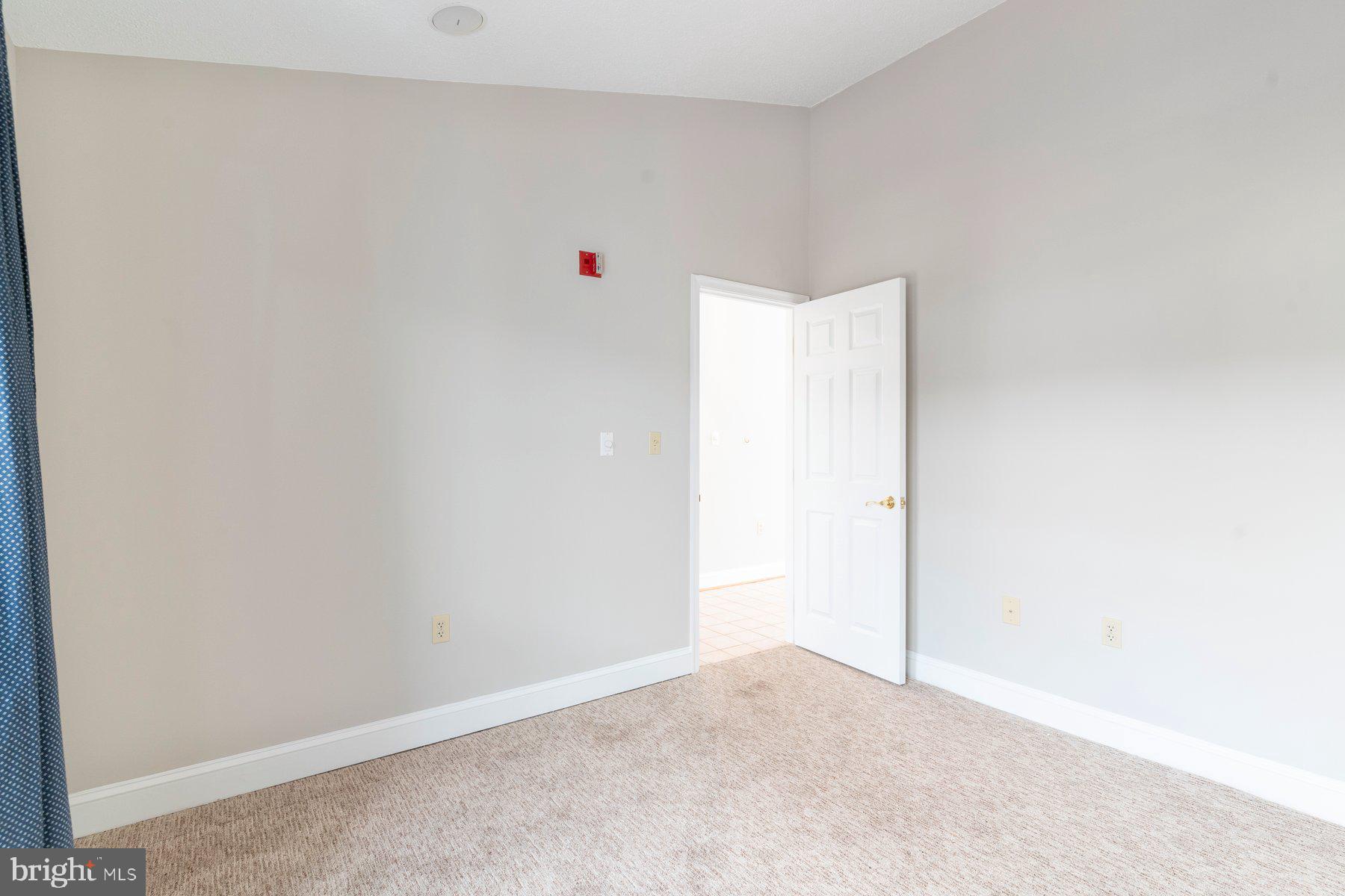 533 RUNABOUT LOOP 533