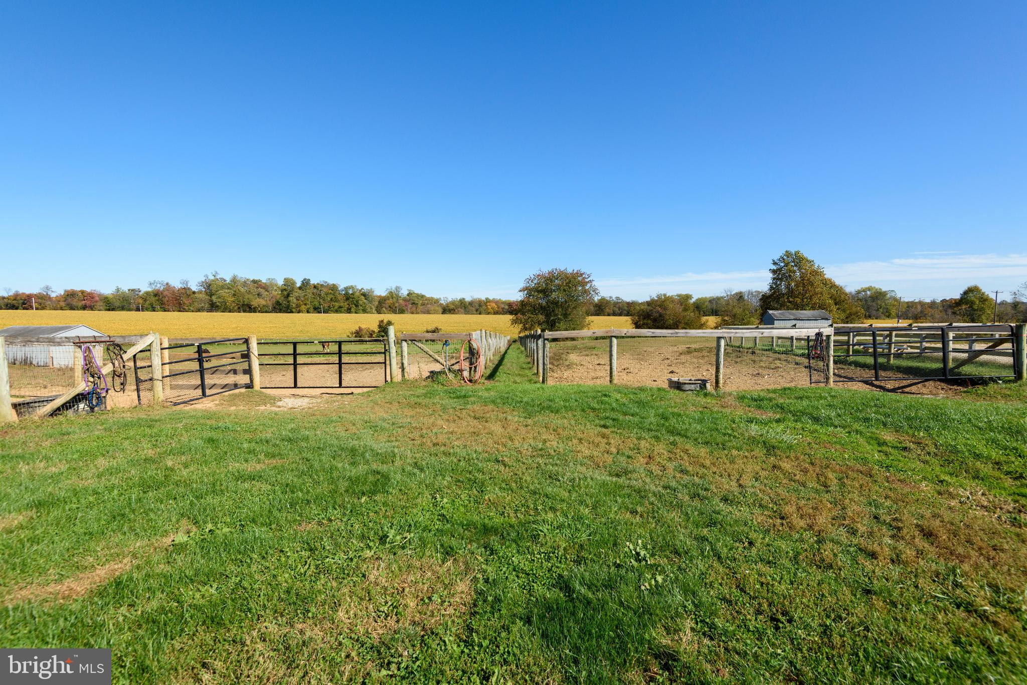 NONE AVAILABLE - Farm