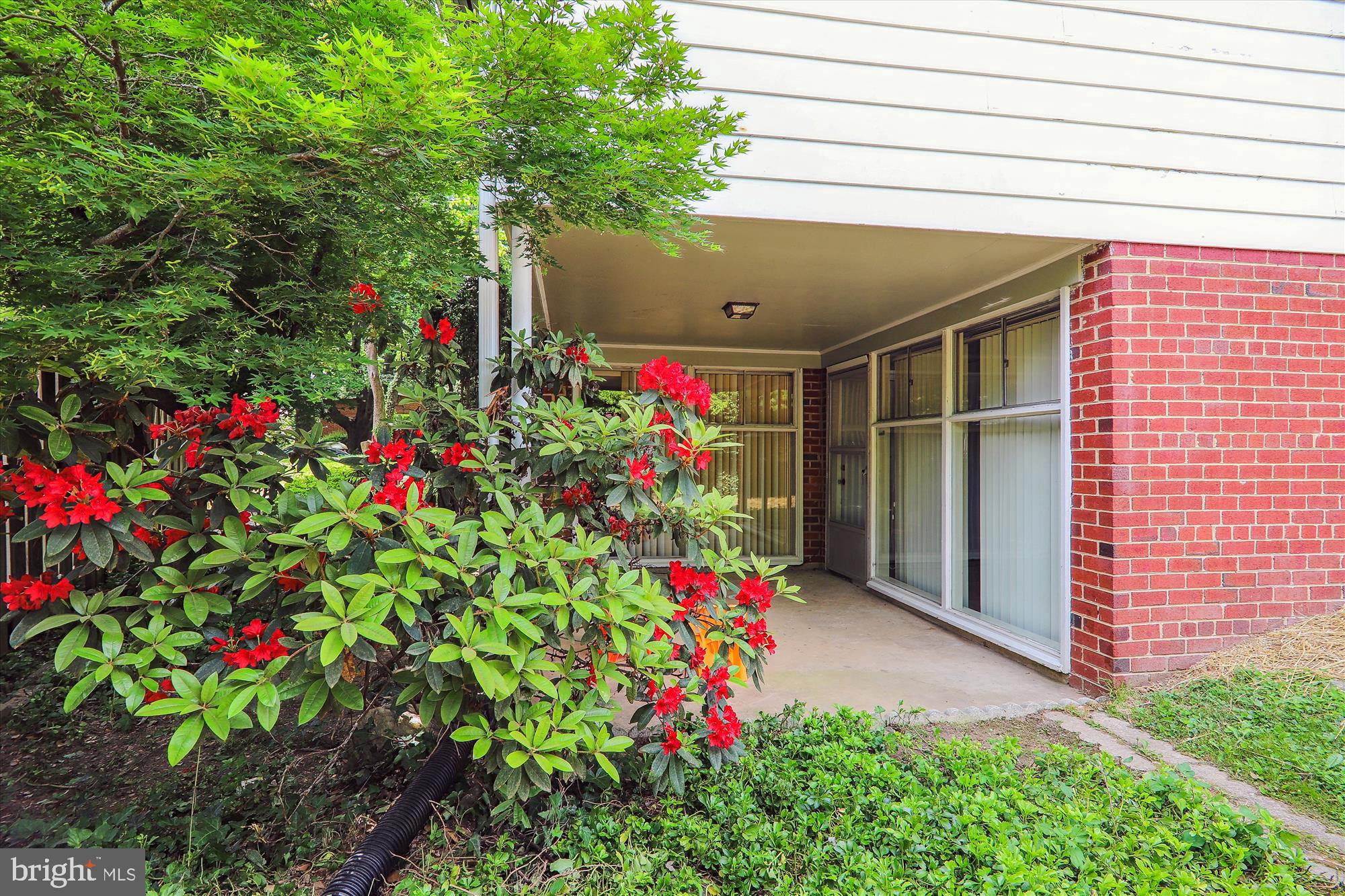 ROSEMARY HILLS - Residential