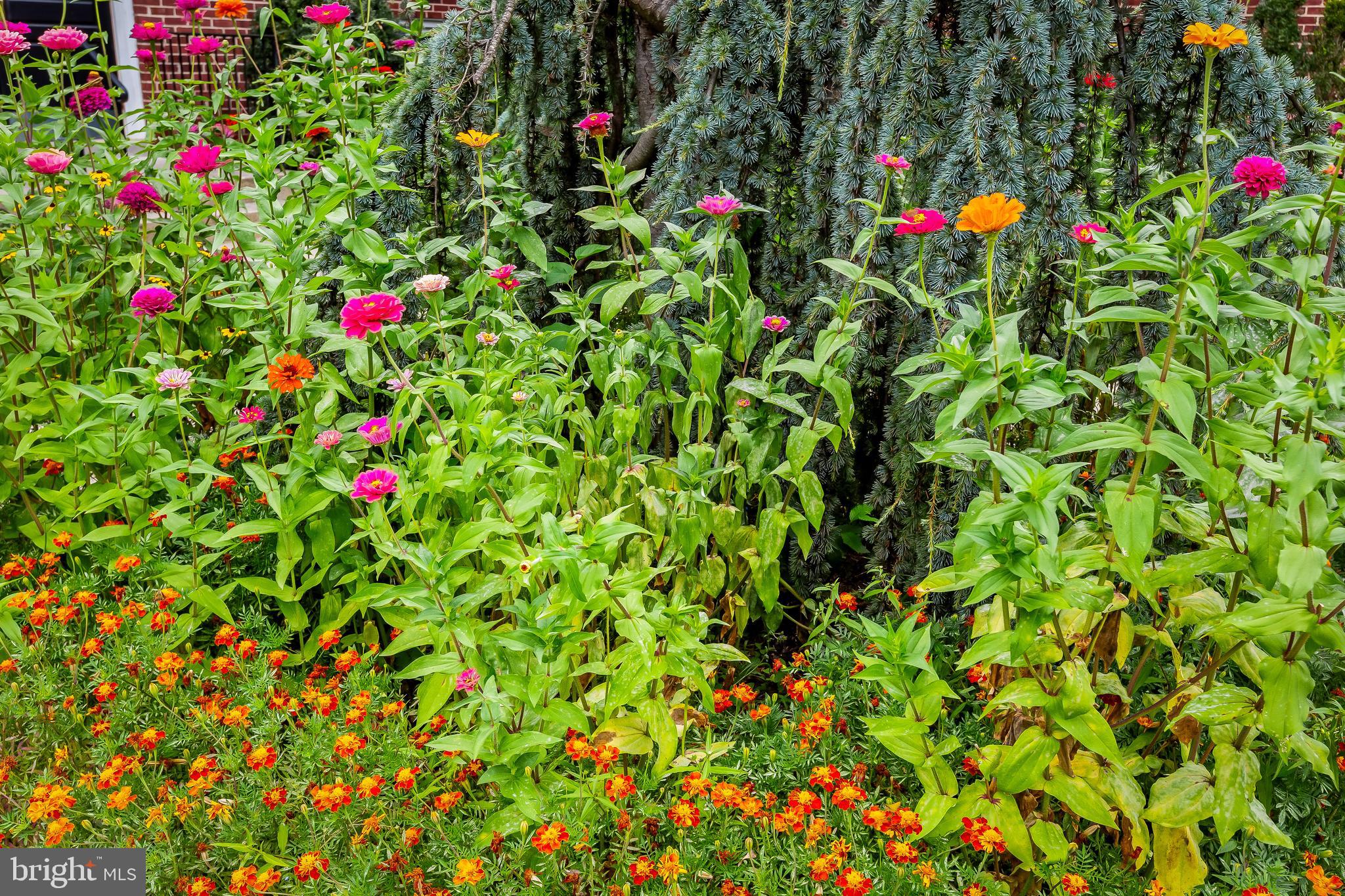 VILLAGES AT HOMELAND - Residential