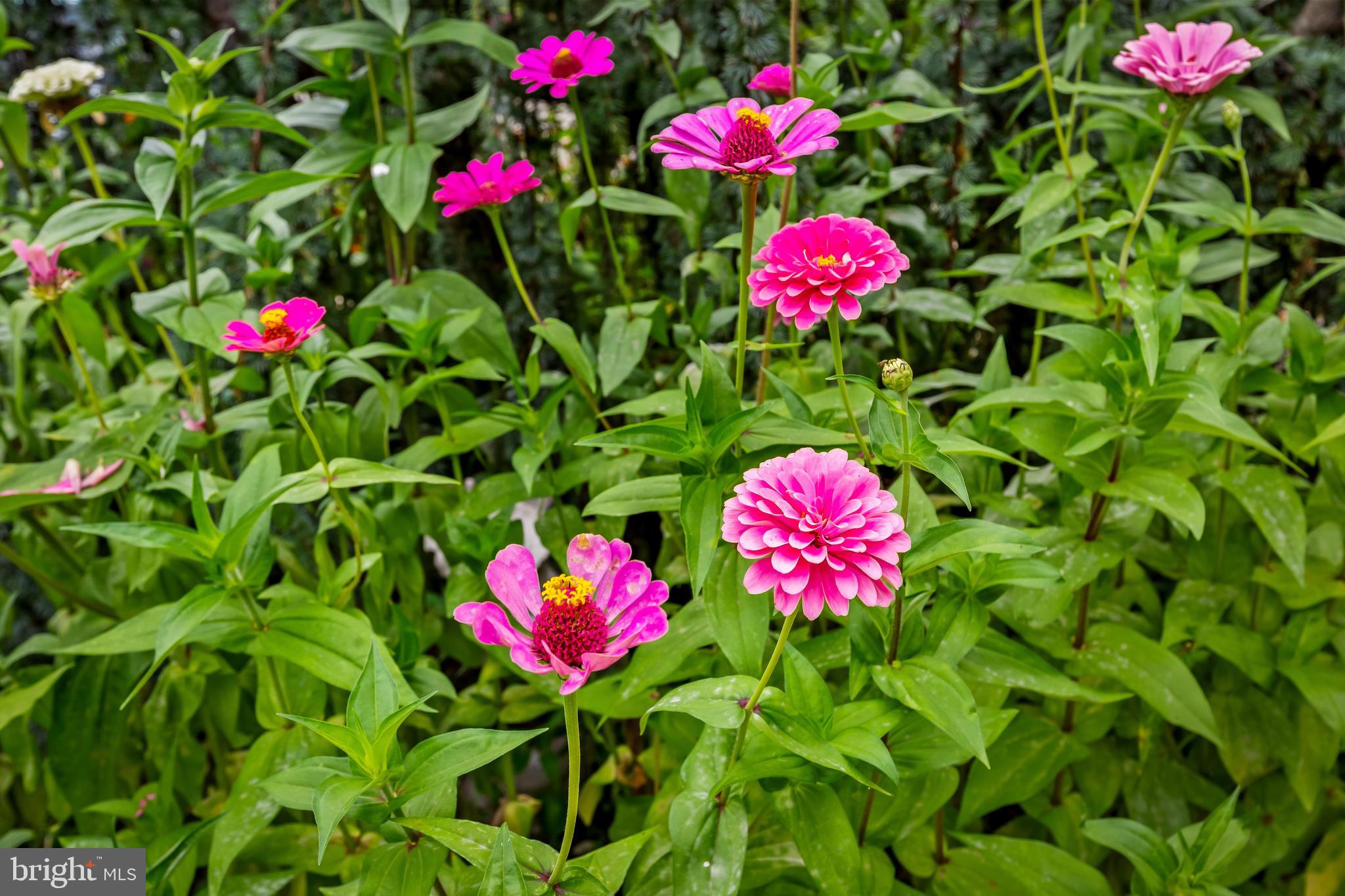 VILLAGES AT HOMELAND - Residential