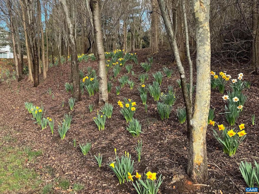 Rare opportunity to purchase one of the last remaining unimproved building parcels in the established Waylands Grant subdivision in Crozet. Parcel consists of 0.64 acres and offers a private elevated building location that offers a mature hardwood forest winter Blue Ridge Mountain views along with winter views of neighboring pond.