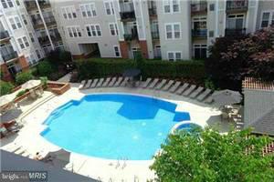 HALSTEAD AT THE METRO - Residential