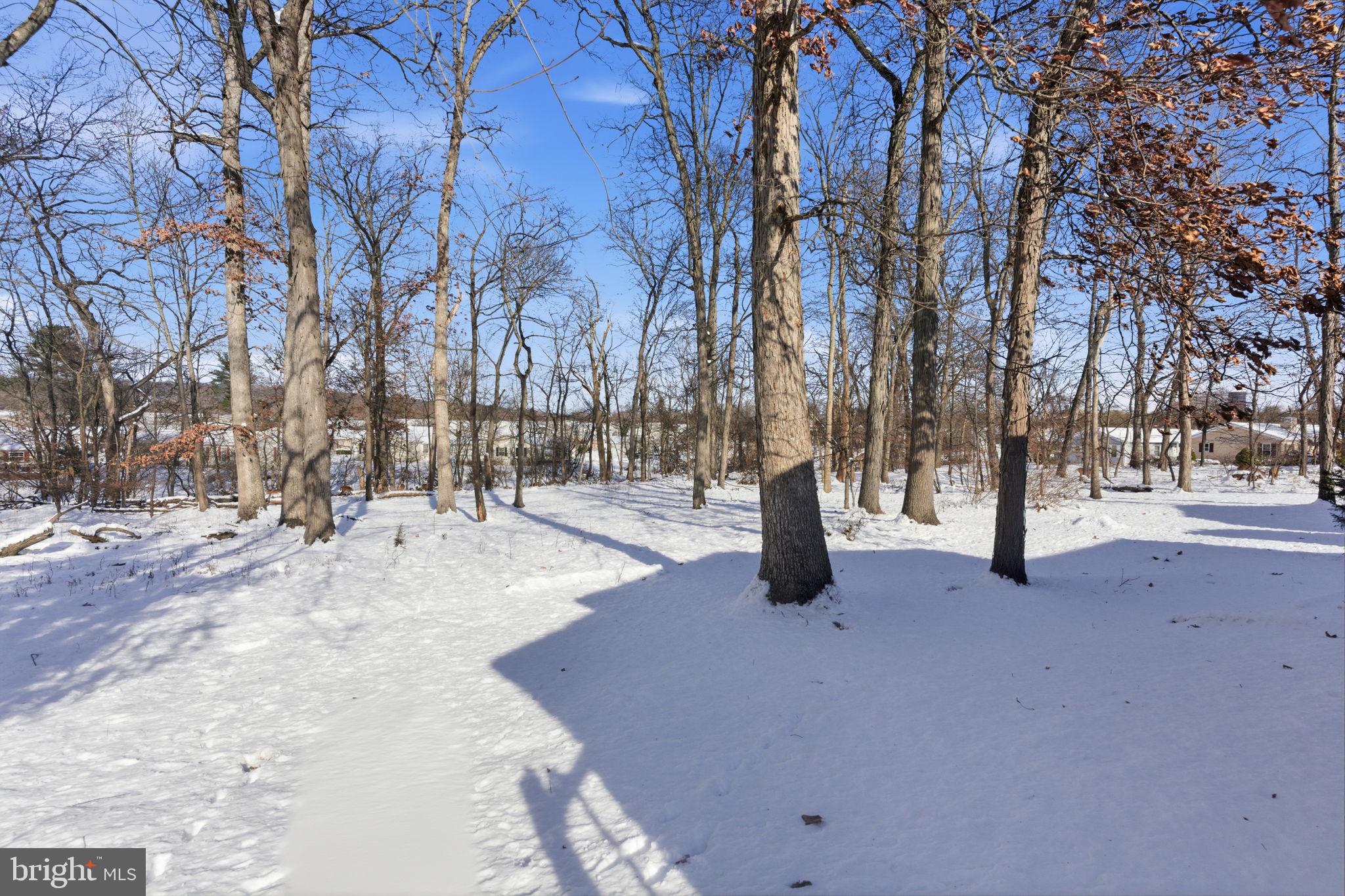 BUCKINGHAM SPRINGS - Residential