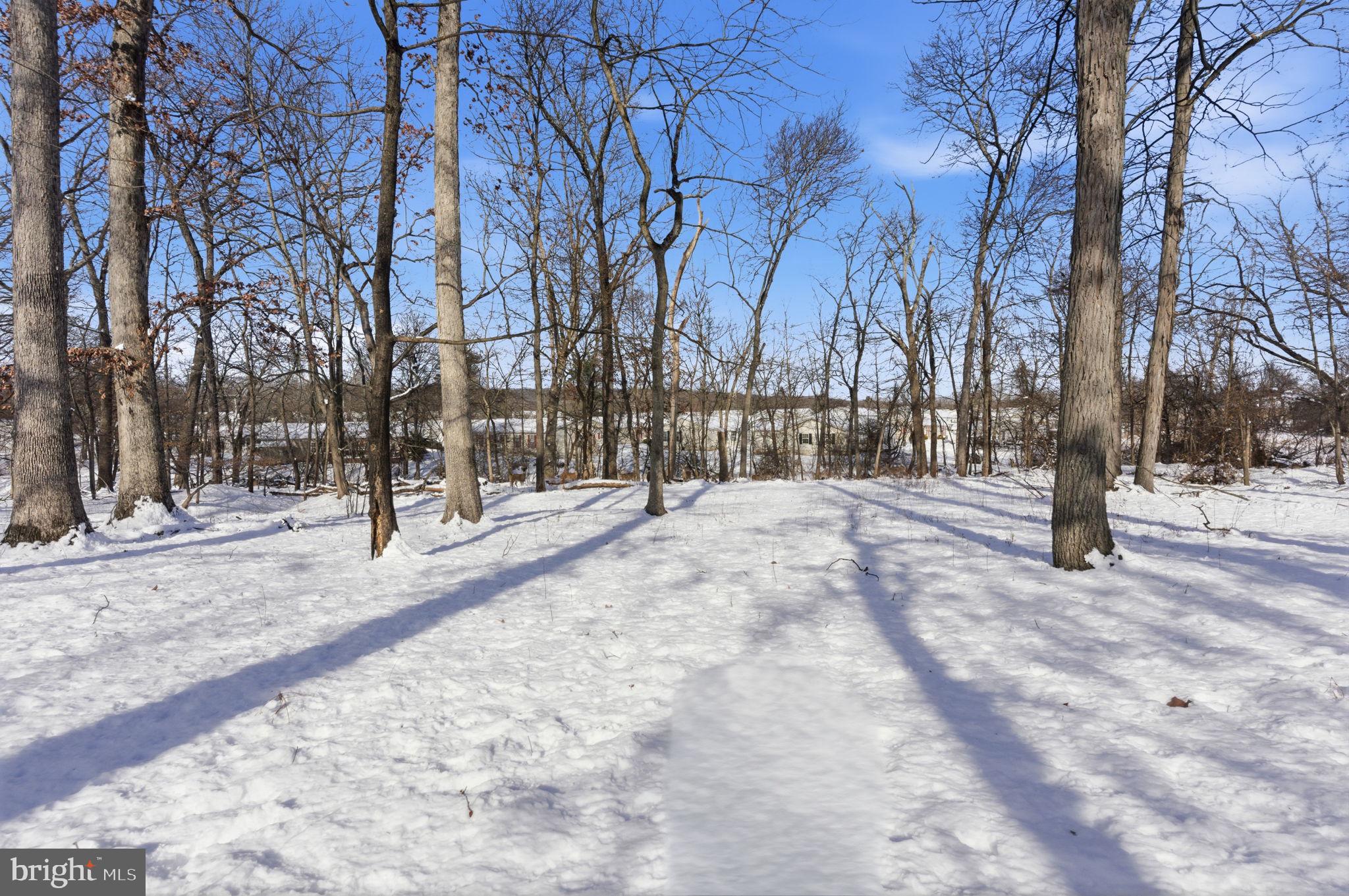 BUCKINGHAM SPRINGS - Residential