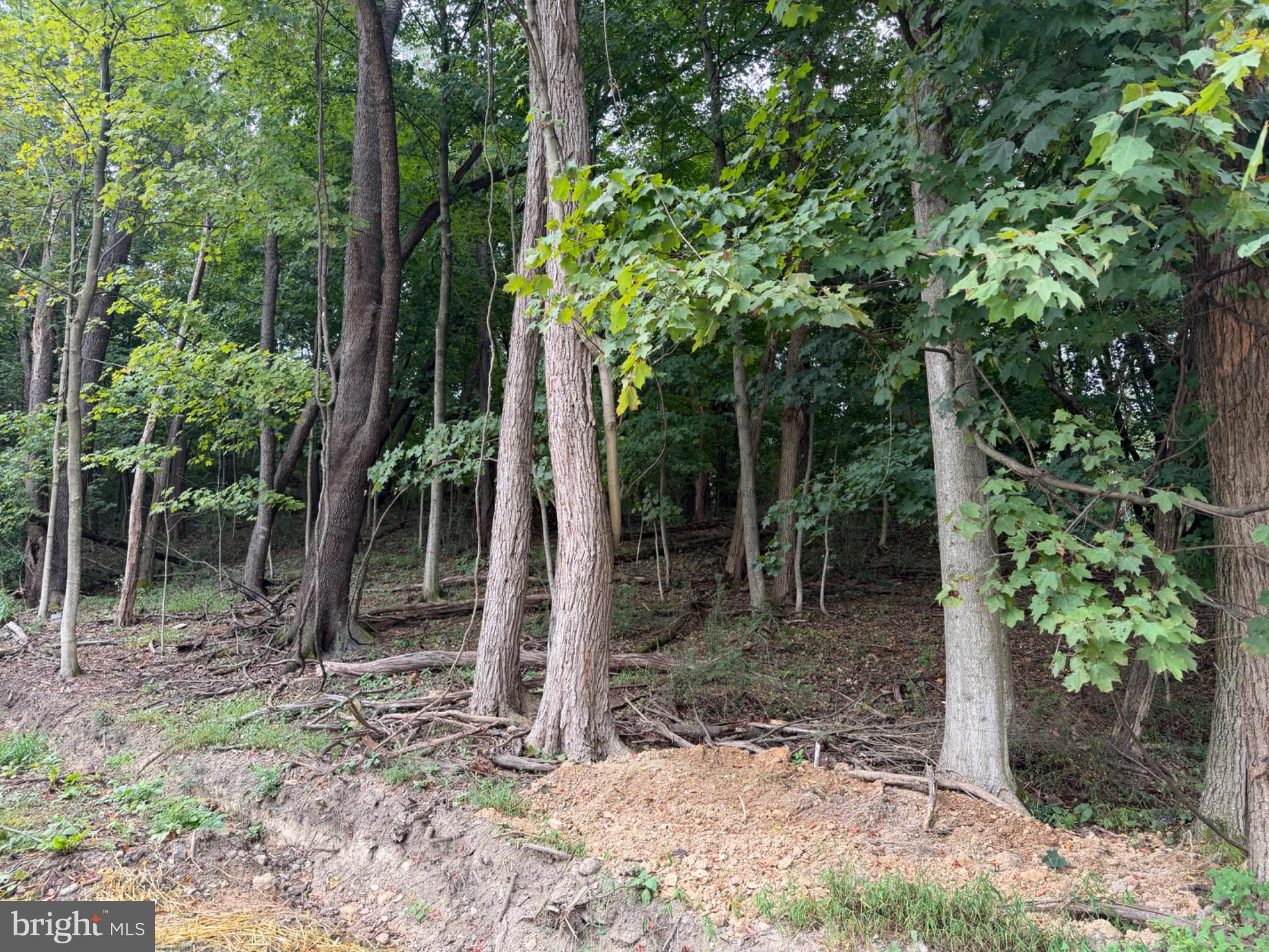 1151 MILLER ROAD