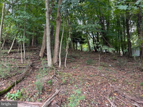 Vacant Land For Sale - 1151 Miller Road<br/> Mineral County, RIDGELEY, WV 26753