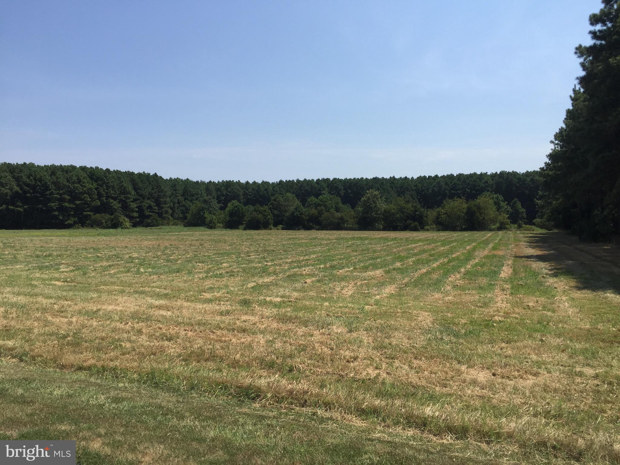 820 KIM DRIVE LOT 21