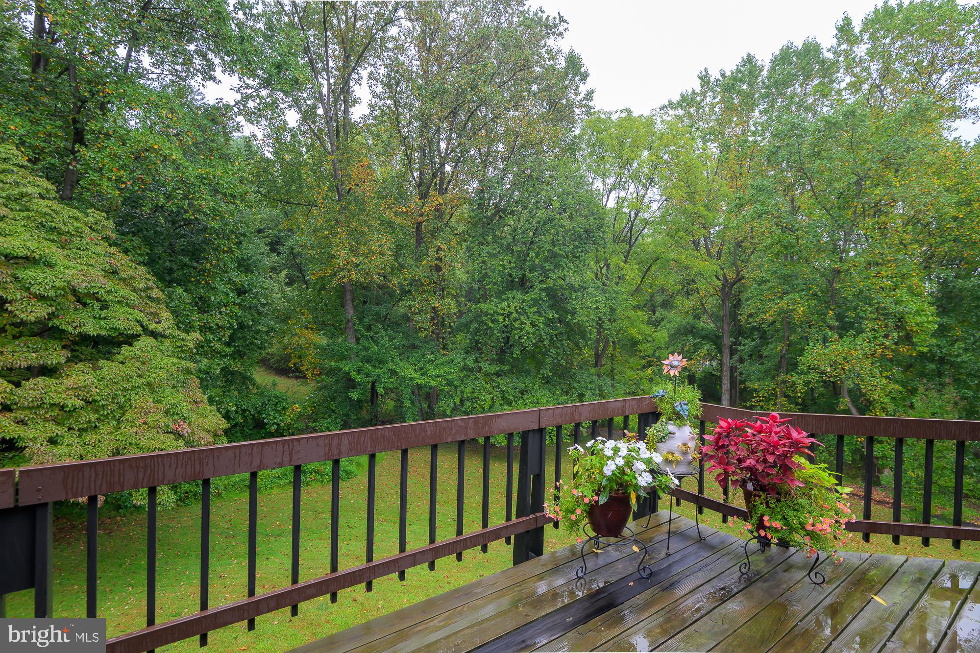 ANNANDALE - Residential