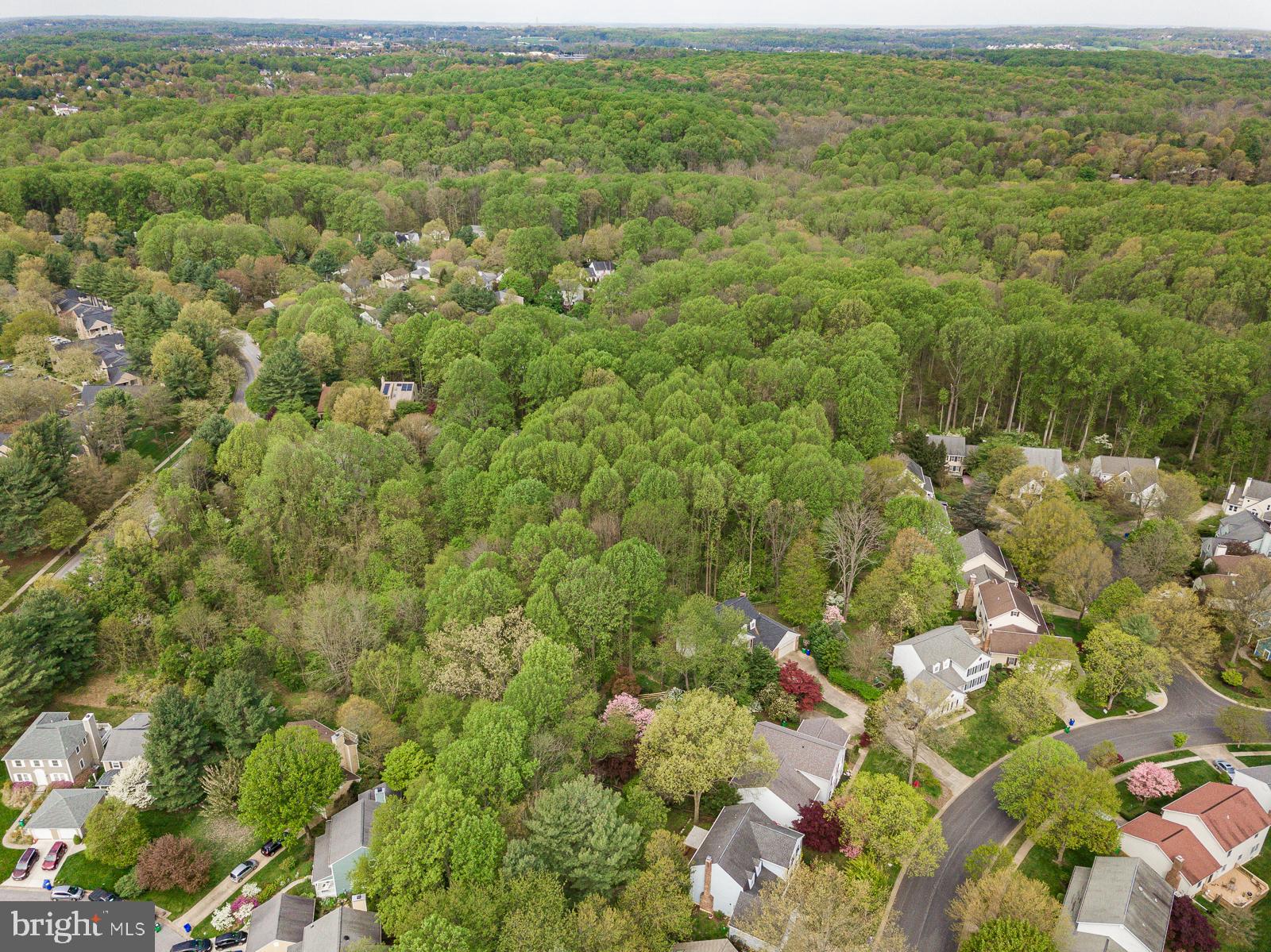 VILLAGE OF HICKORY RIDGE - Residential