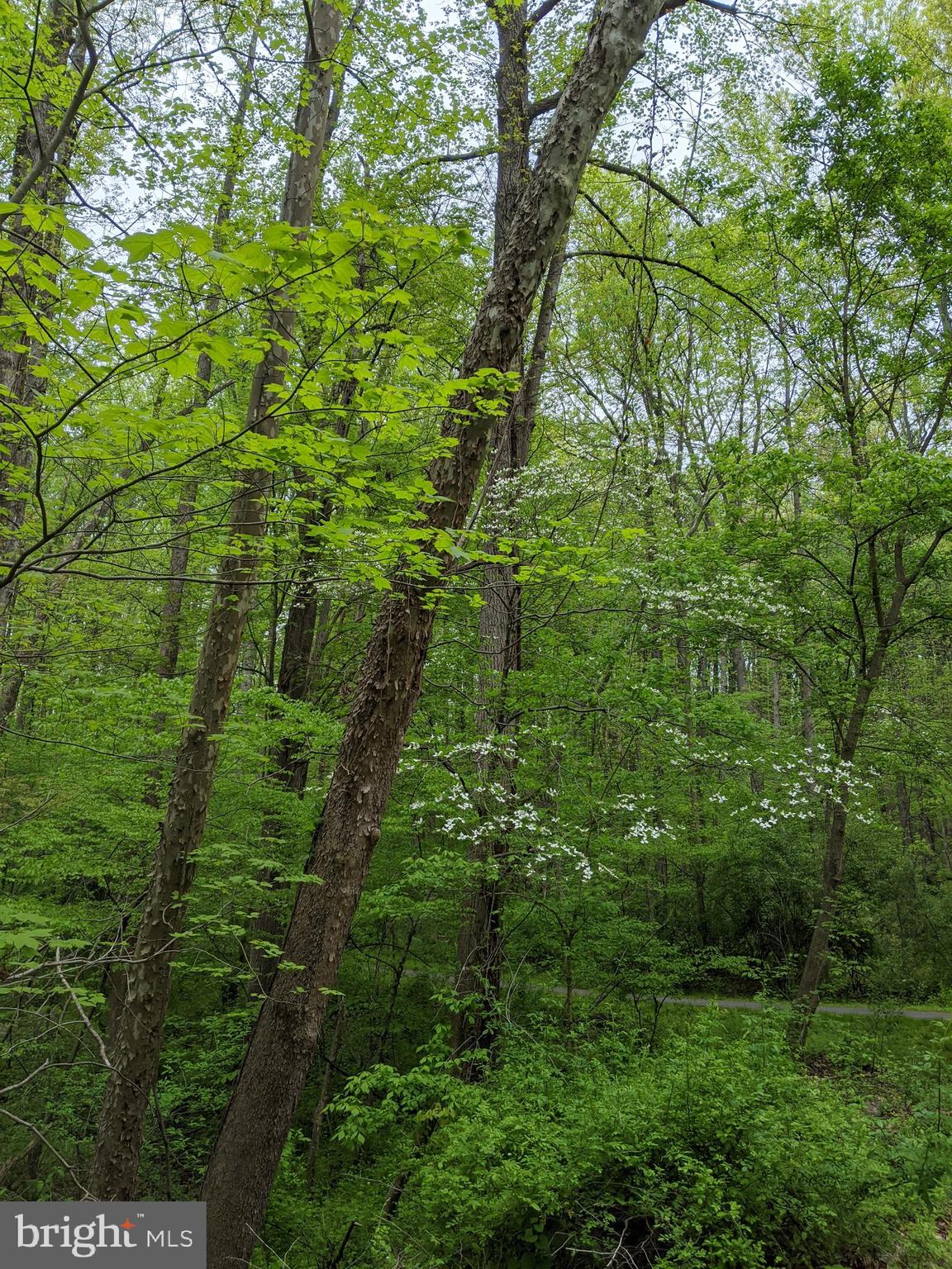 VILLAGE OF HICKORY RIDGE - Residential