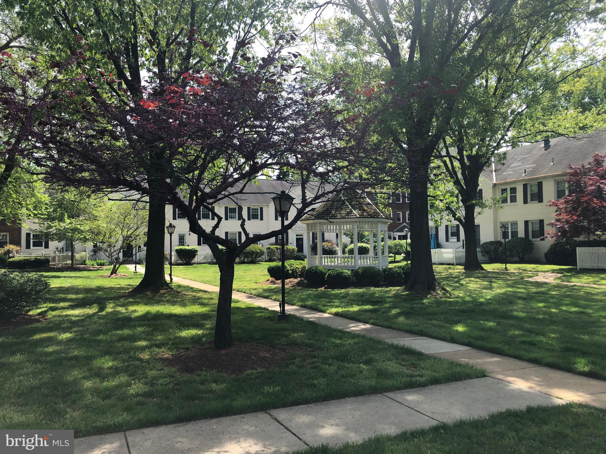 COMMONS OF ARLINGTON - Residential Lease