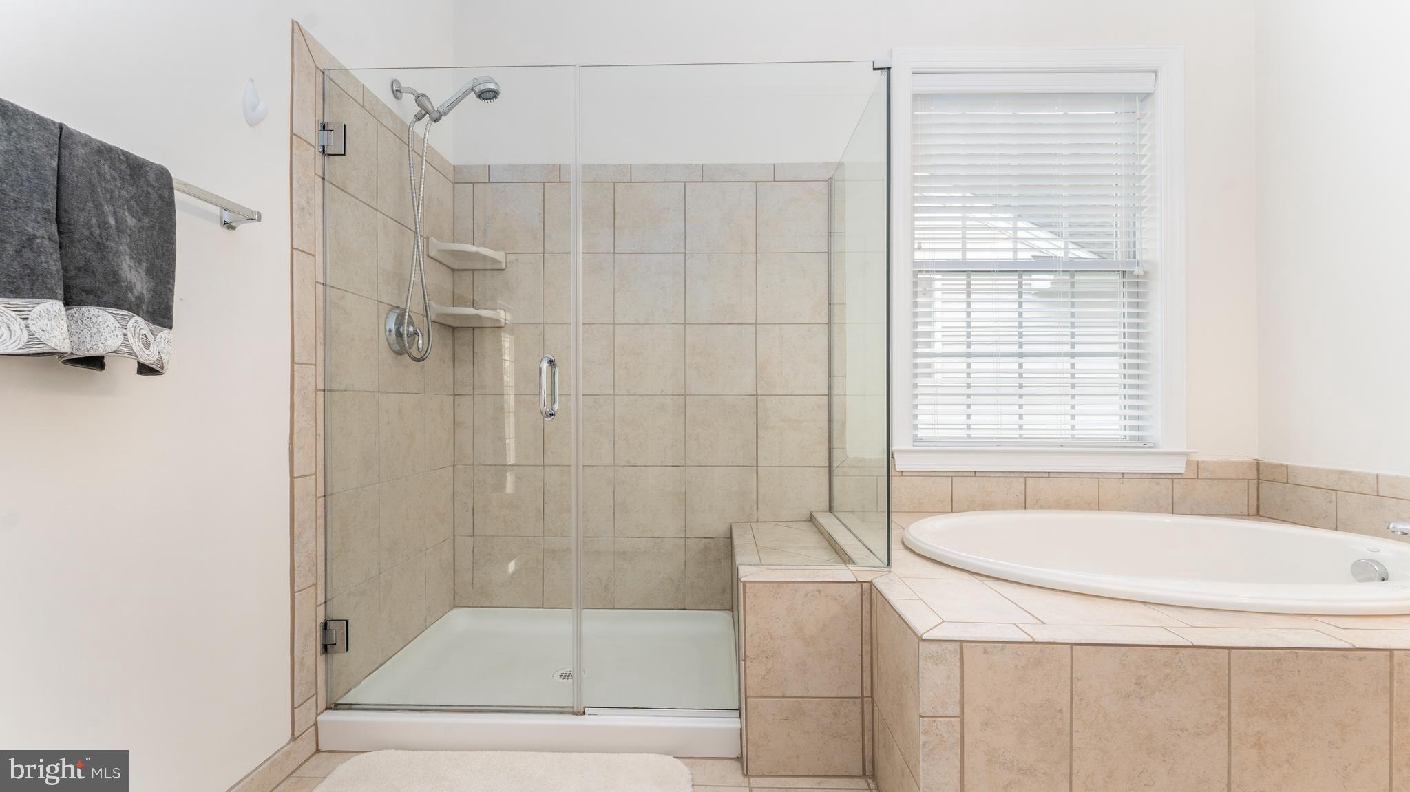 REGENCY AT CHANCELLORSVILLE - Residential