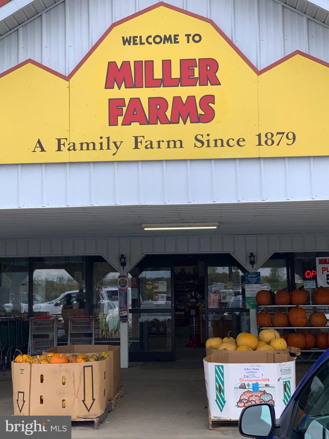 SHANNON SQUARE - Residential