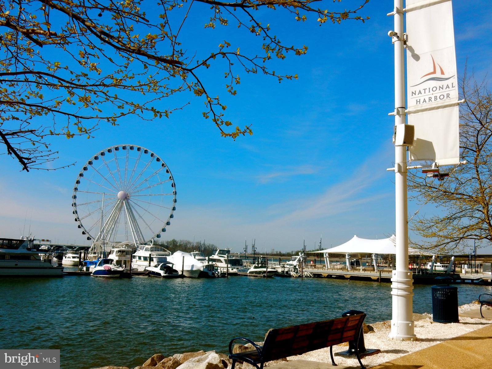 SHANNON SQUARE - Residential