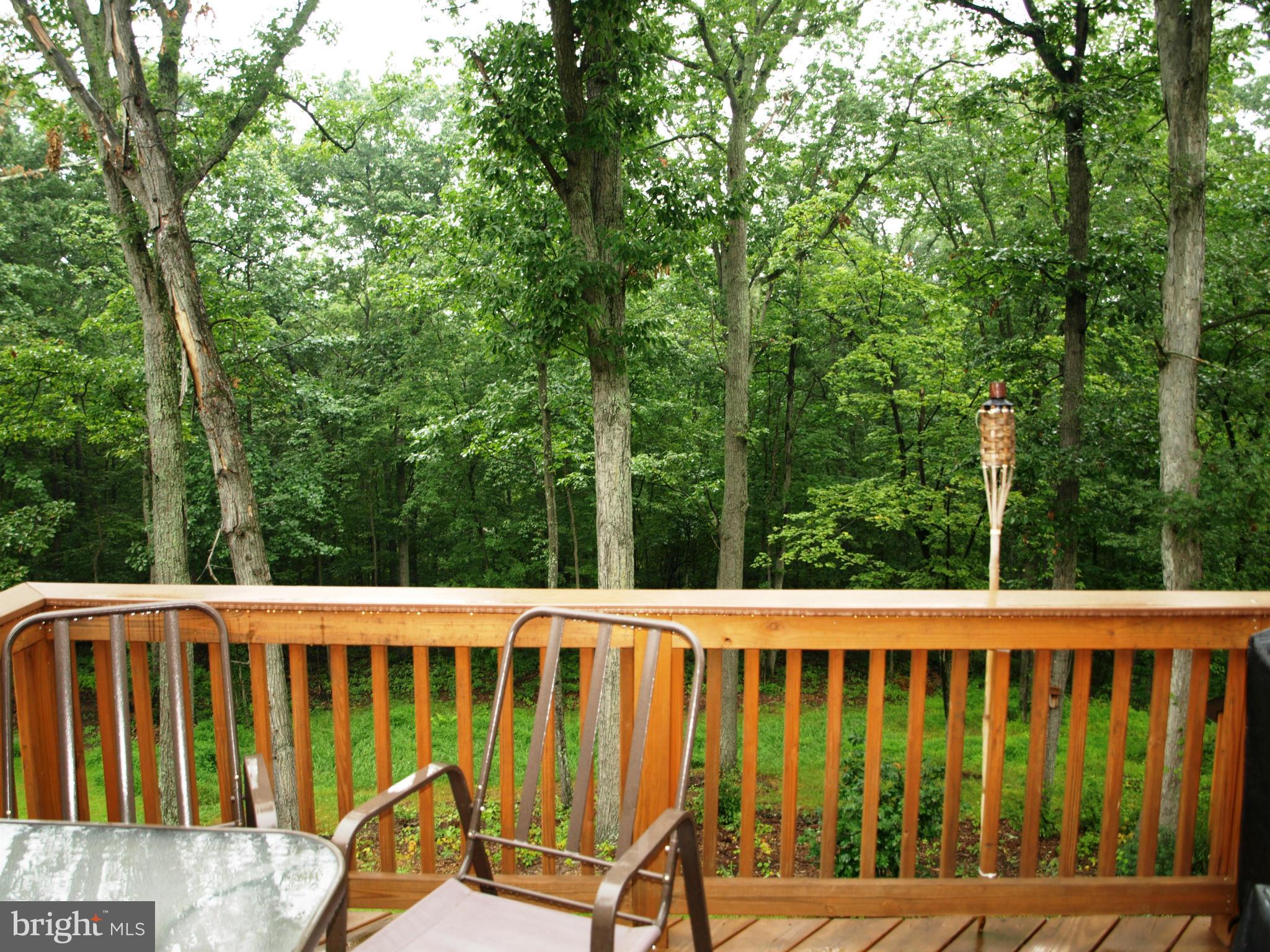 SHEN FARMS MT LAKE - Residential