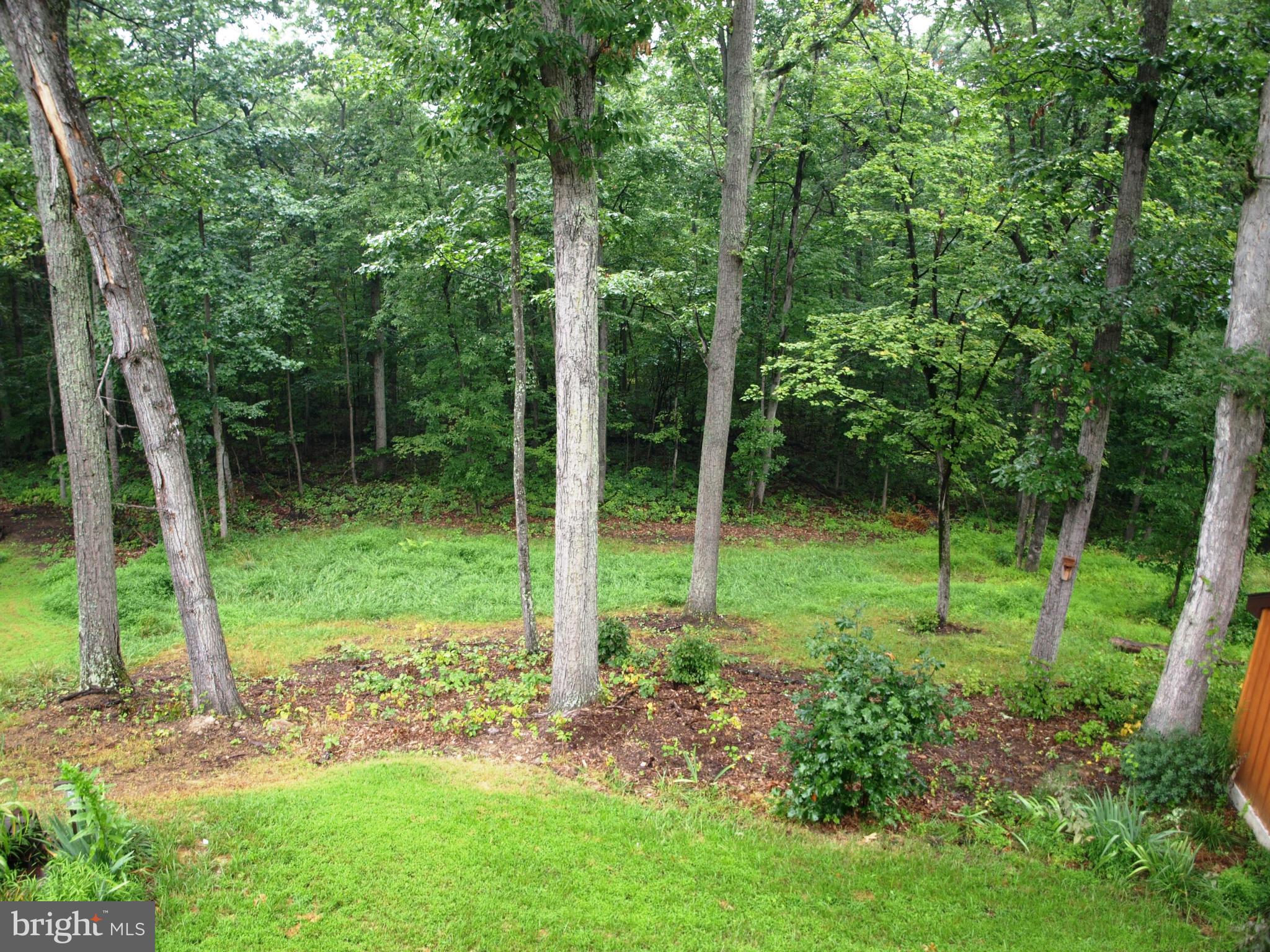 SHEN FARMS MT LAKE - Residential