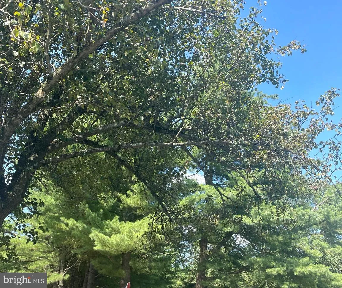 Marlton, New Jersey 08053, United States, 3 Bedrooms Bedrooms, ,2 BathroomsBathrooms,Residential,Pending,187166