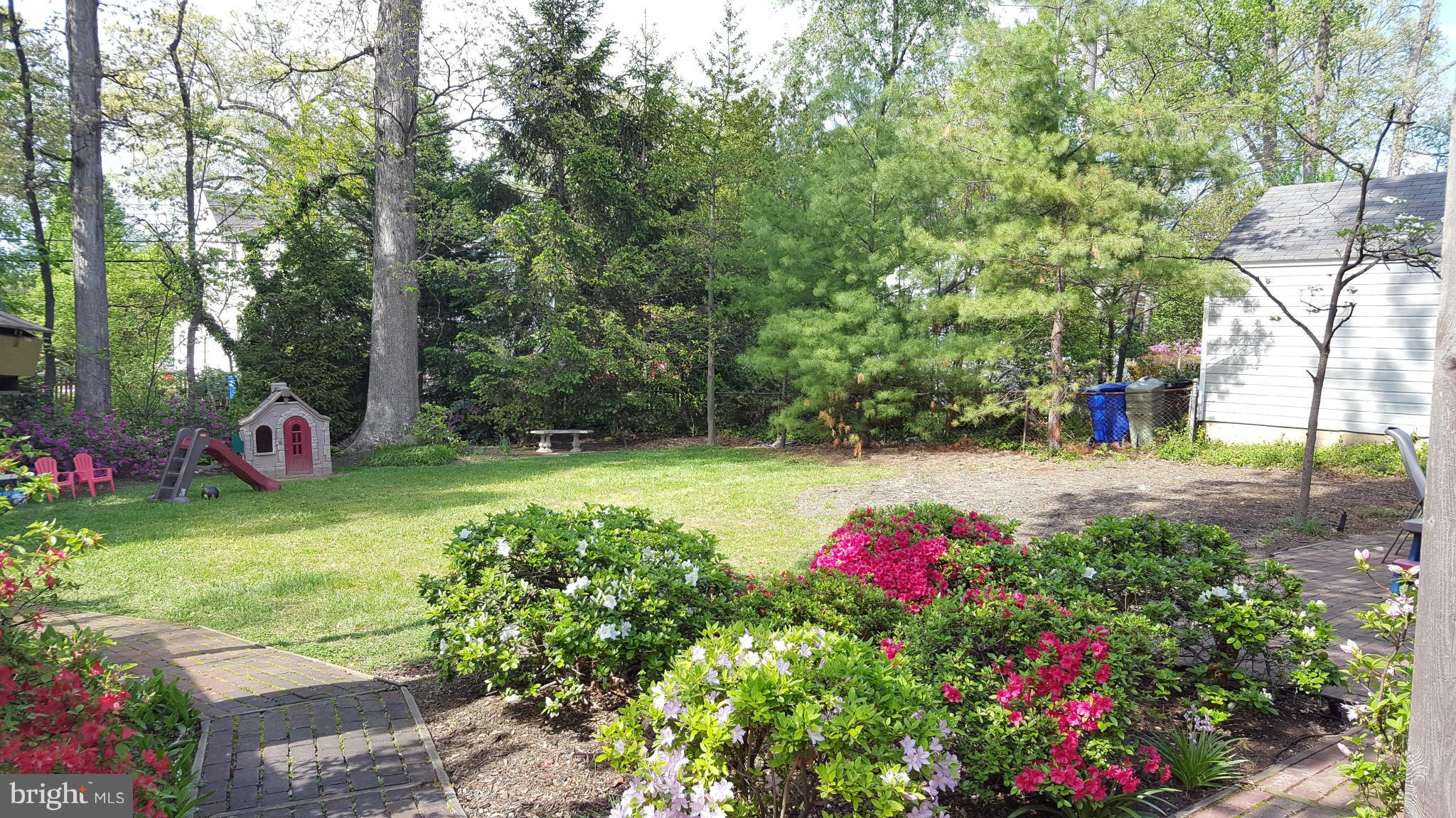 SHIRLEY WOODS - Residential Lease