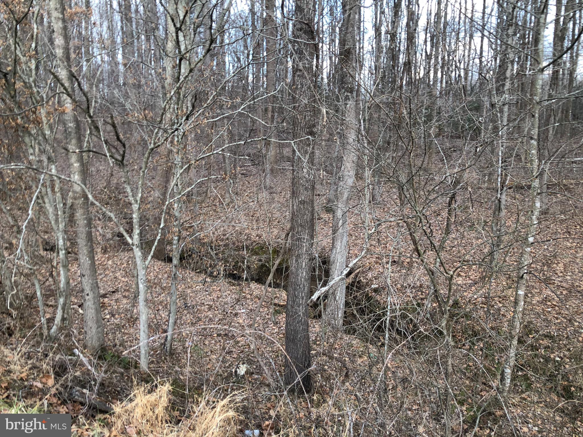 METES & BOUNDS - Land