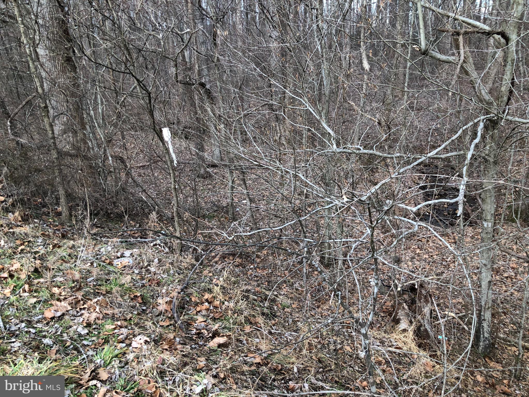 METES & BOUNDS - Land