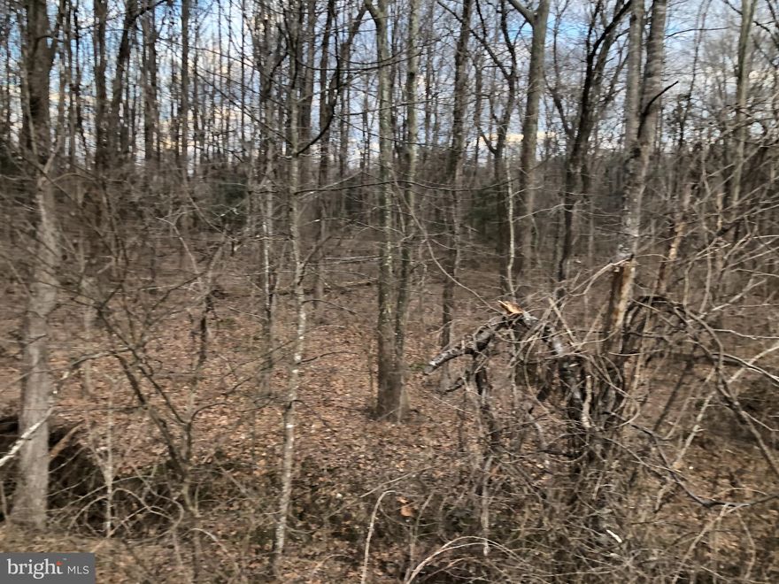 VERY NICE WOODED LOT WITH A 4 BEDROOM PERK  BABBLING CREEK  RUNS ACROSS THE FRONTVERY NICE WOODED LOT WITH A 4 BEDROOM PERK, VERY QUIET WITH LOTS OF WILDLIFE...