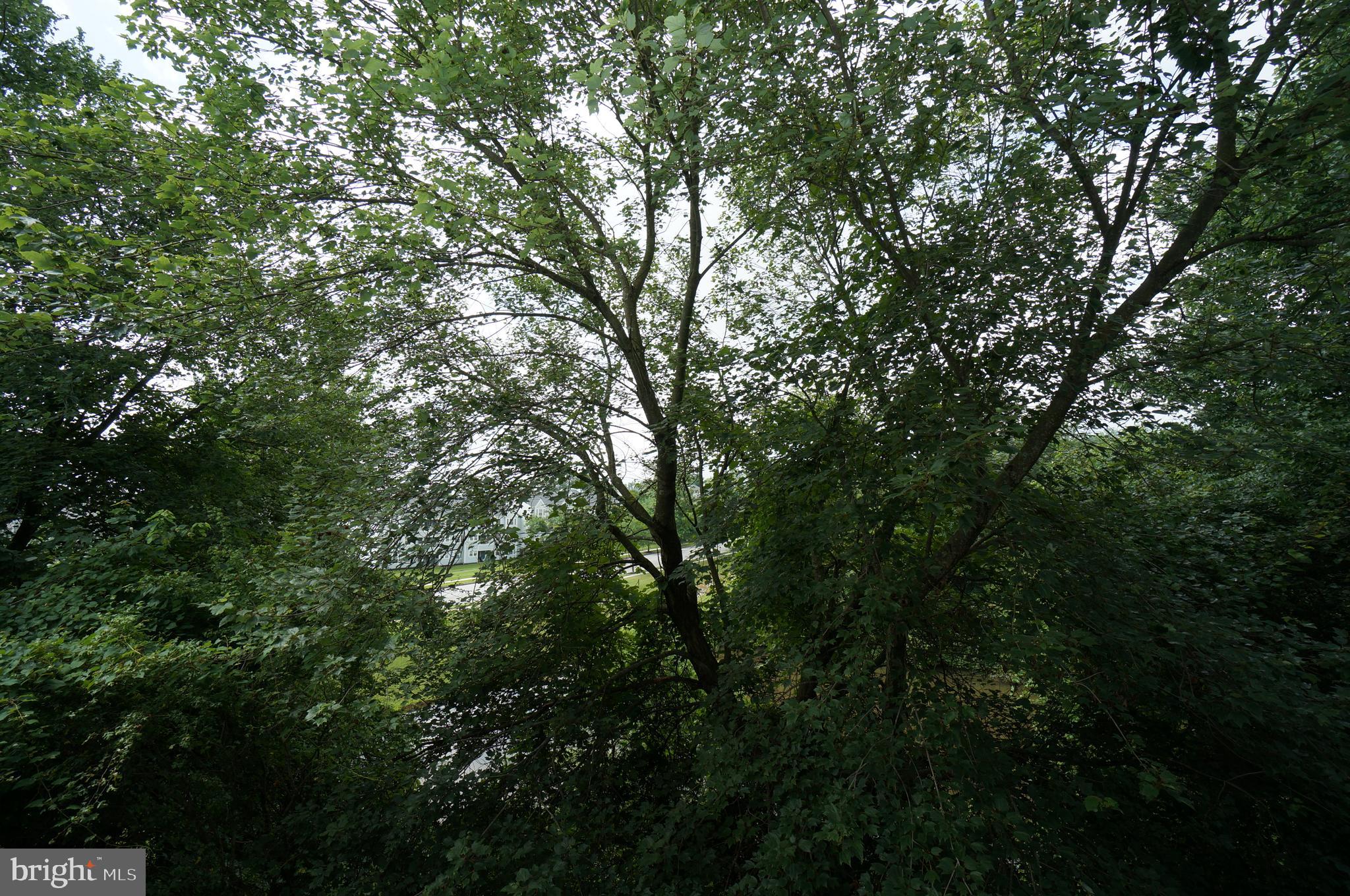 MONTGOMERY RUN - Residential Lease