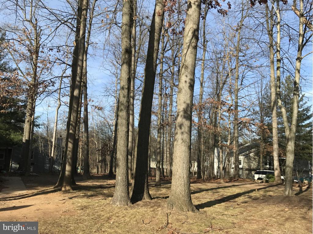 VILLAGE OF HICKORY RIDGE - Residential Lease