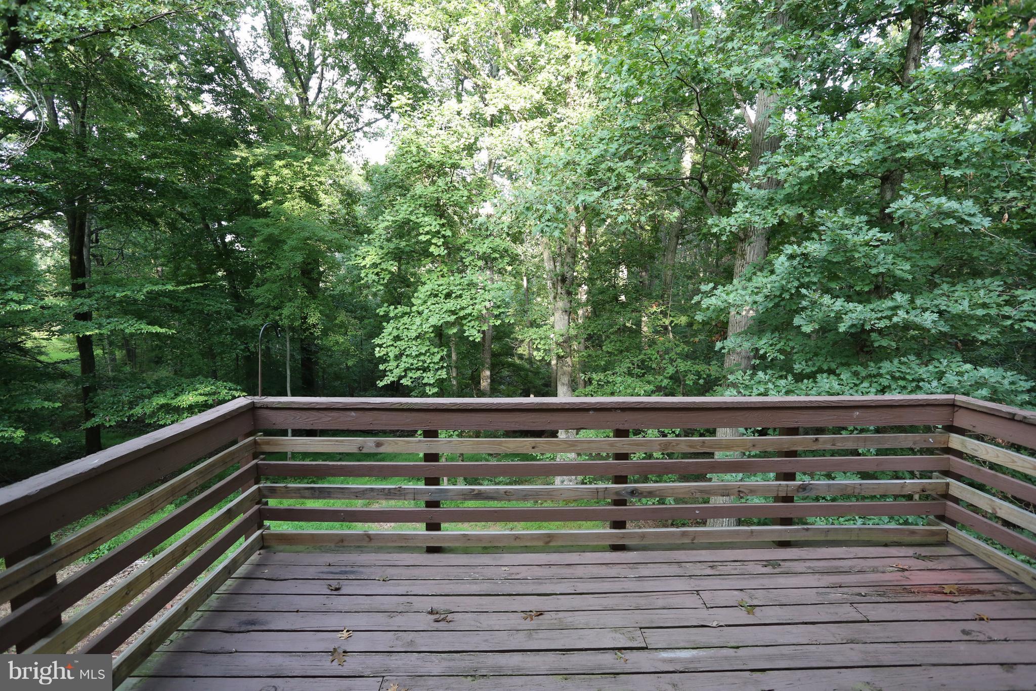 RANSDELL - Residential Lease