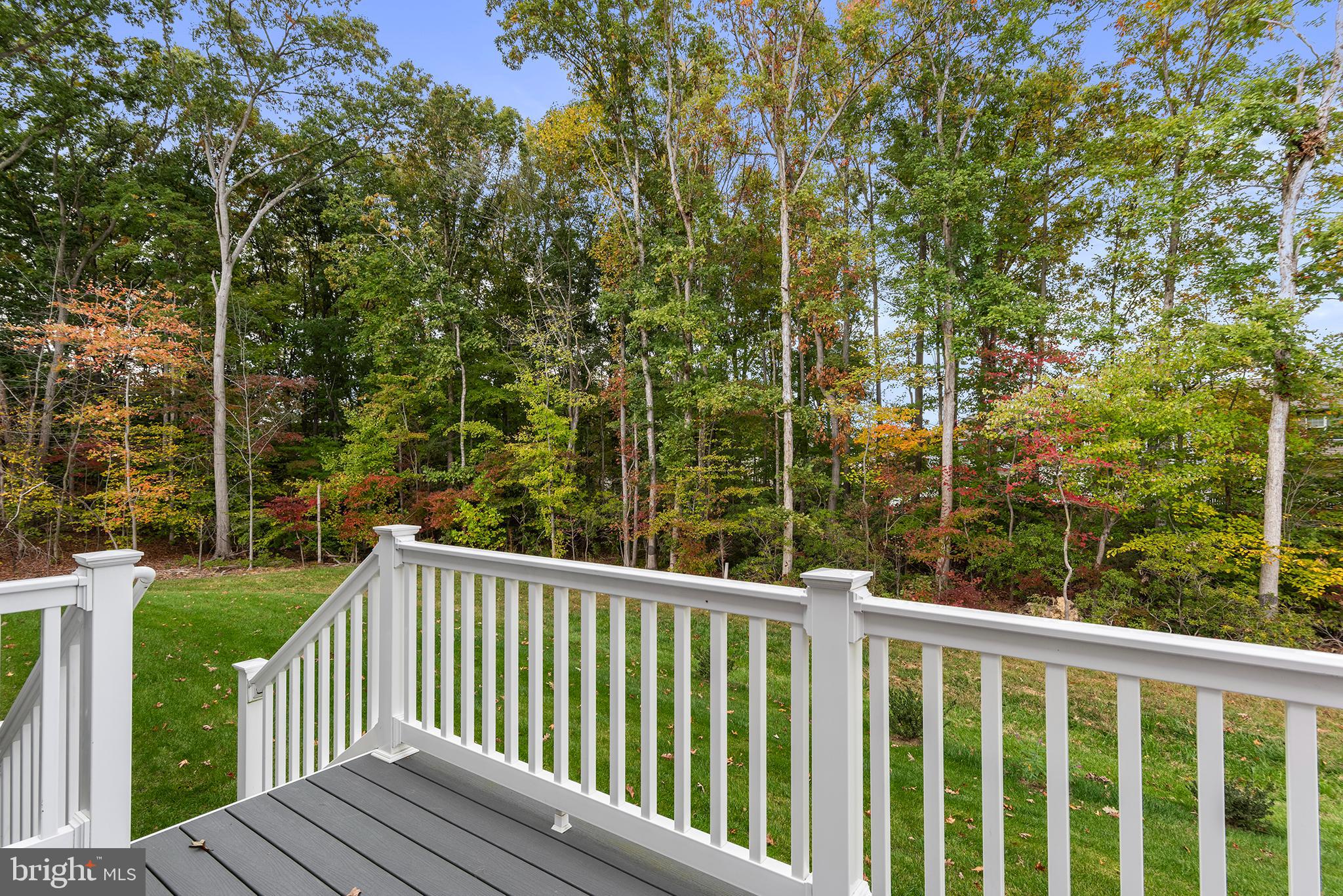 RIDGELY FOREST - Residential