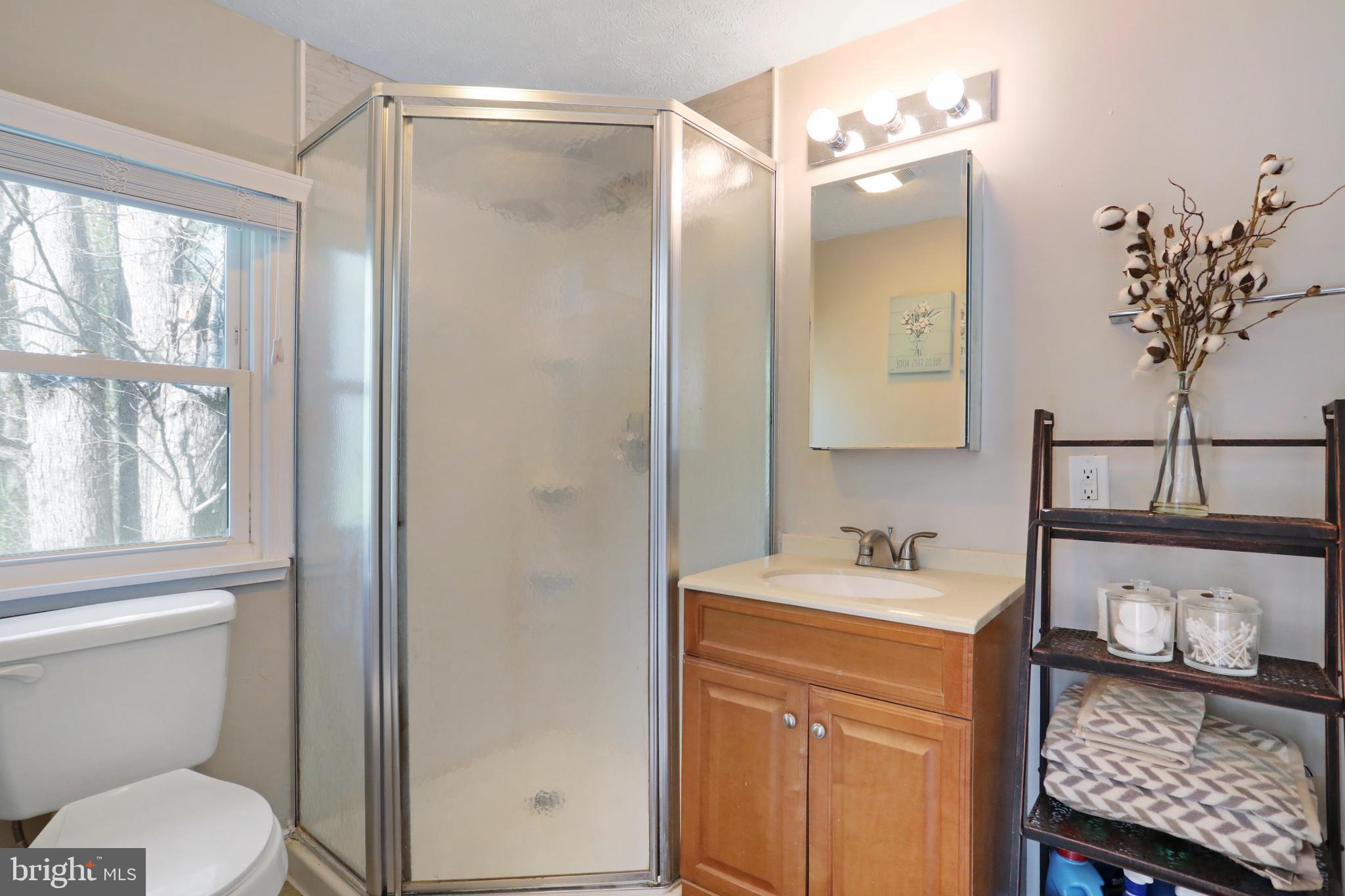 SHEN FARMS MT LAKE - Residential