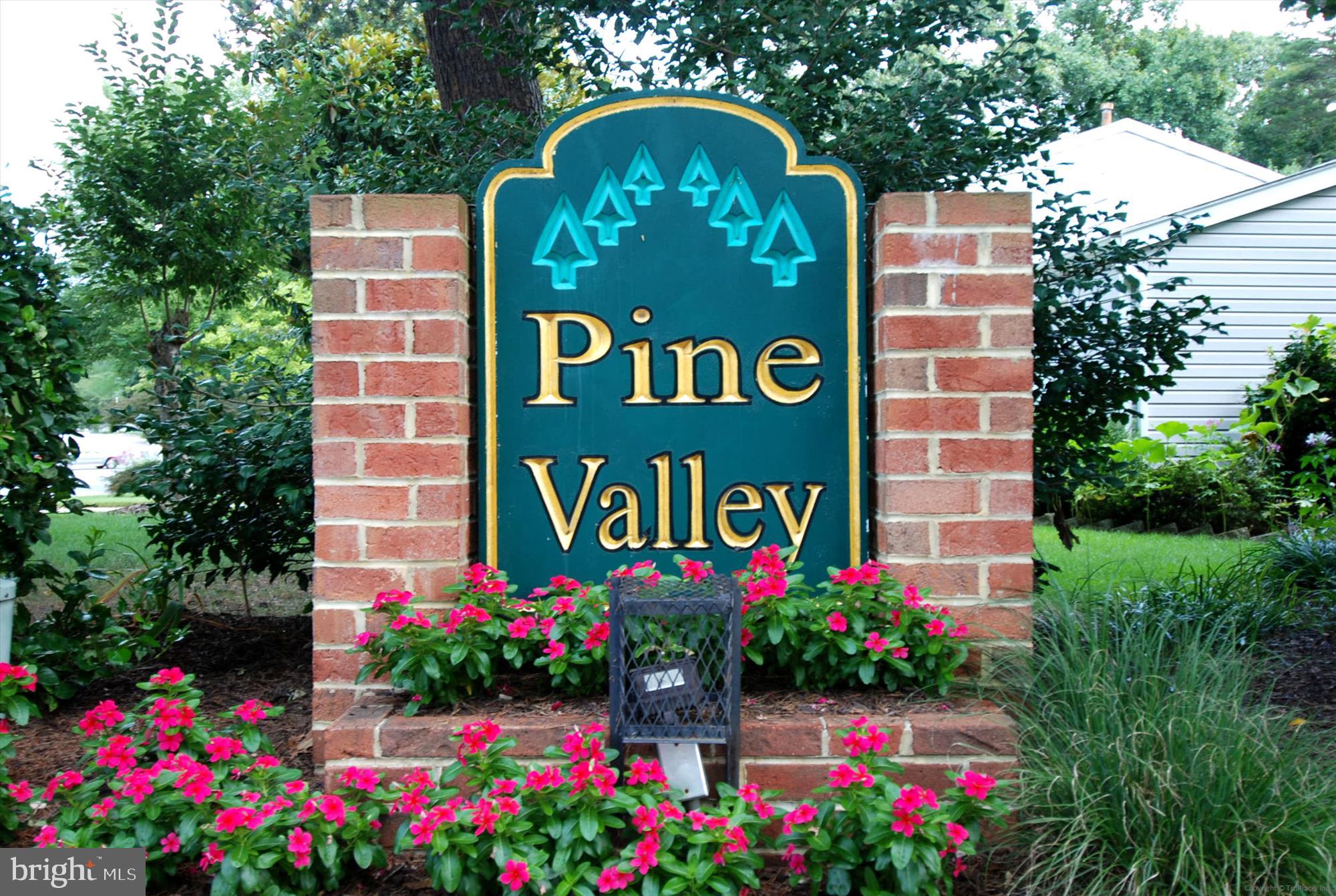 PINE VALLEY - Residential