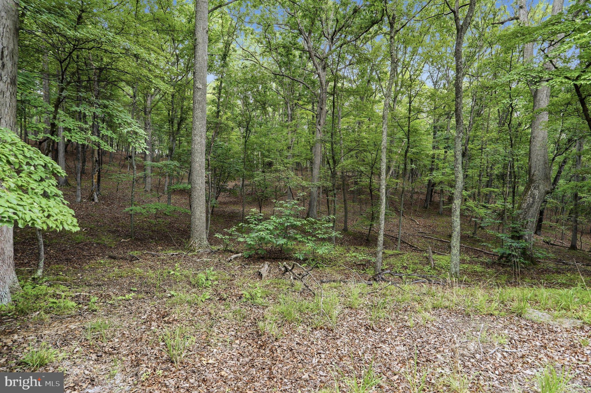 0 PIONEER TRAIL TRAIL