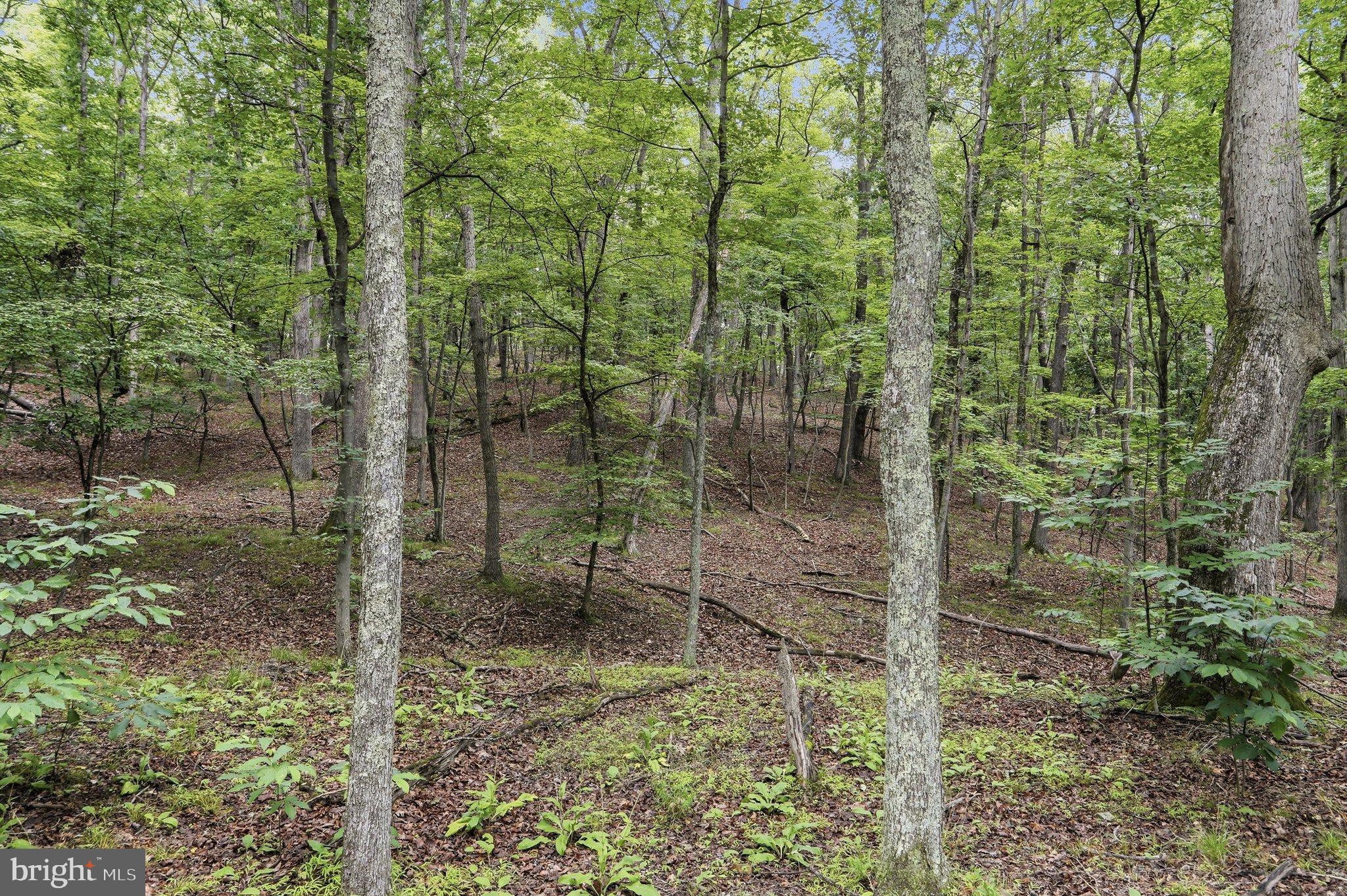 0 PIONEER TRAIL TRAIL