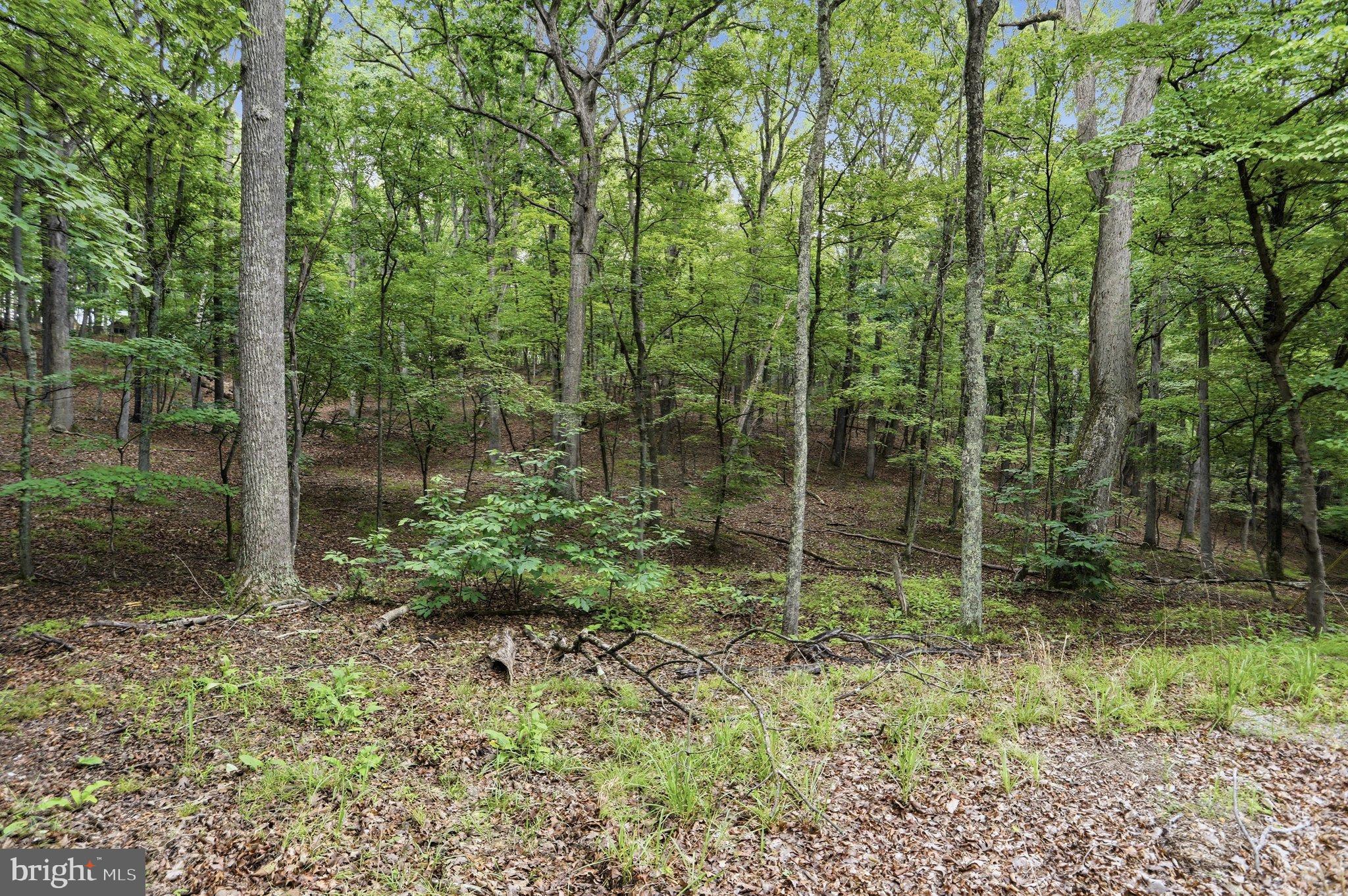 0 PIONEER TRAIL TRAIL