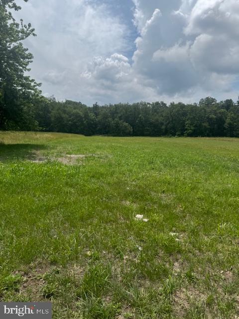 Lot #14 COLD SPRINGS RD