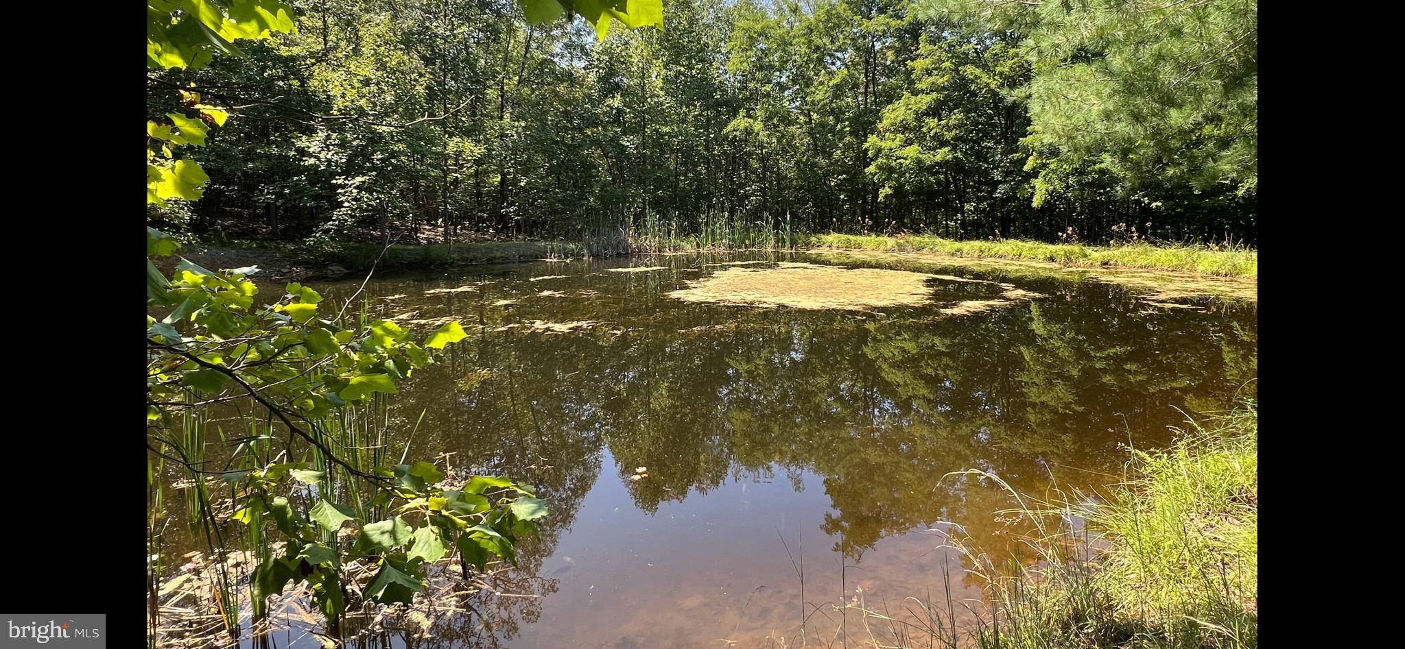 SLEEPY CREEK MT ESTATES - Residential