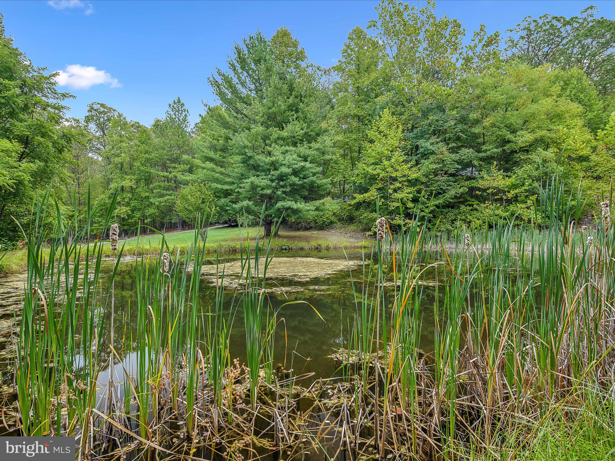 SLEEPY CREEK MT ESTATES - Residential