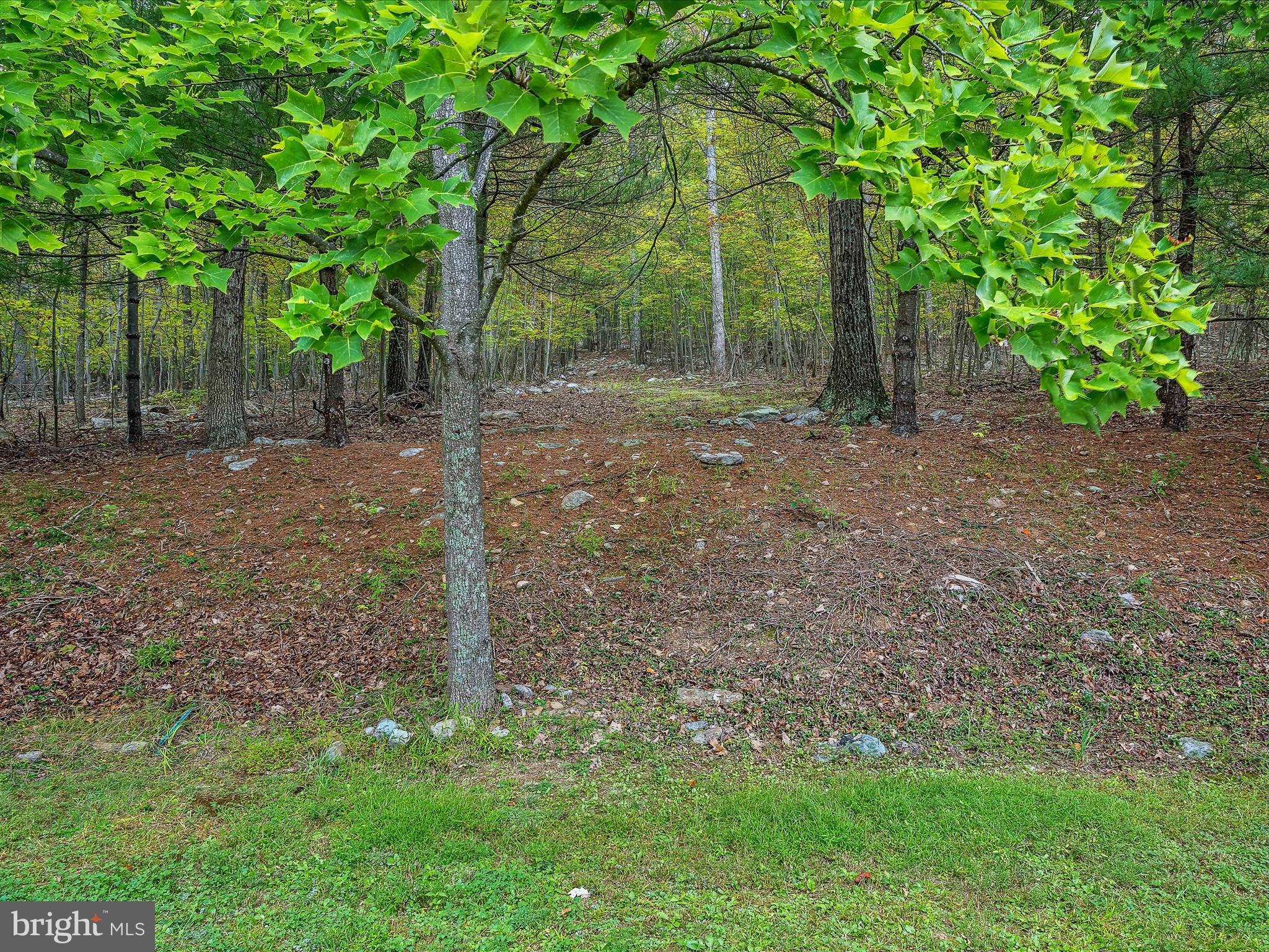 SLEEPY CREEK MT ESTATES - Residential