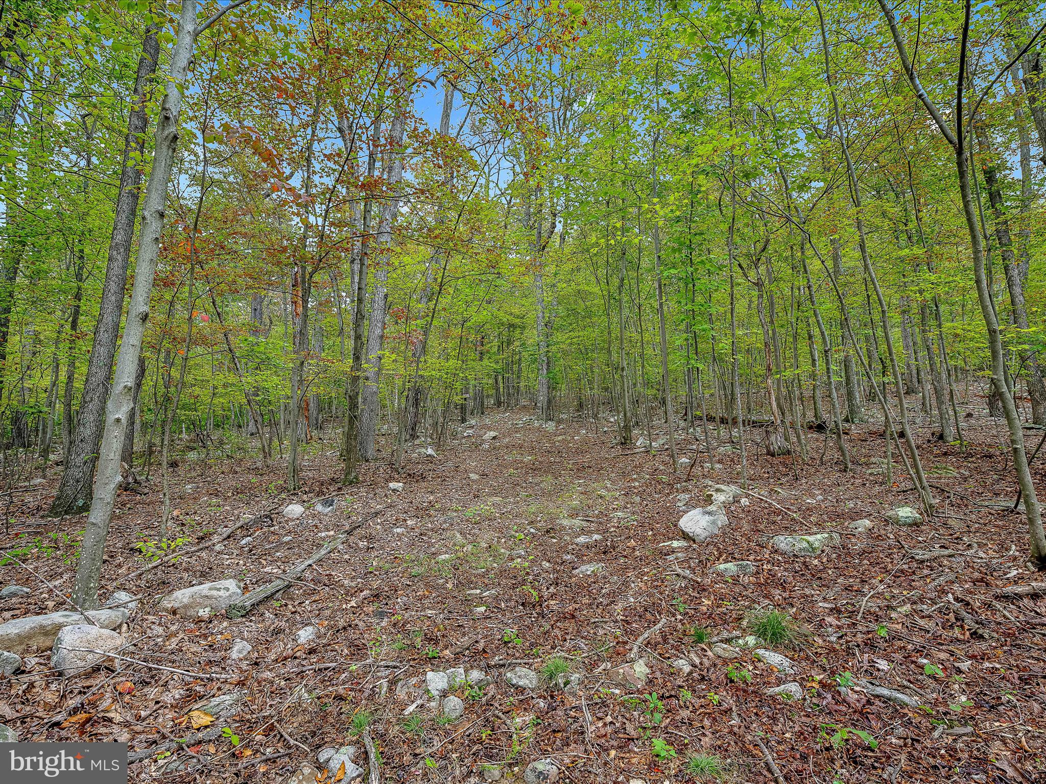 SLEEPY CREEK MT ESTATES - Residential