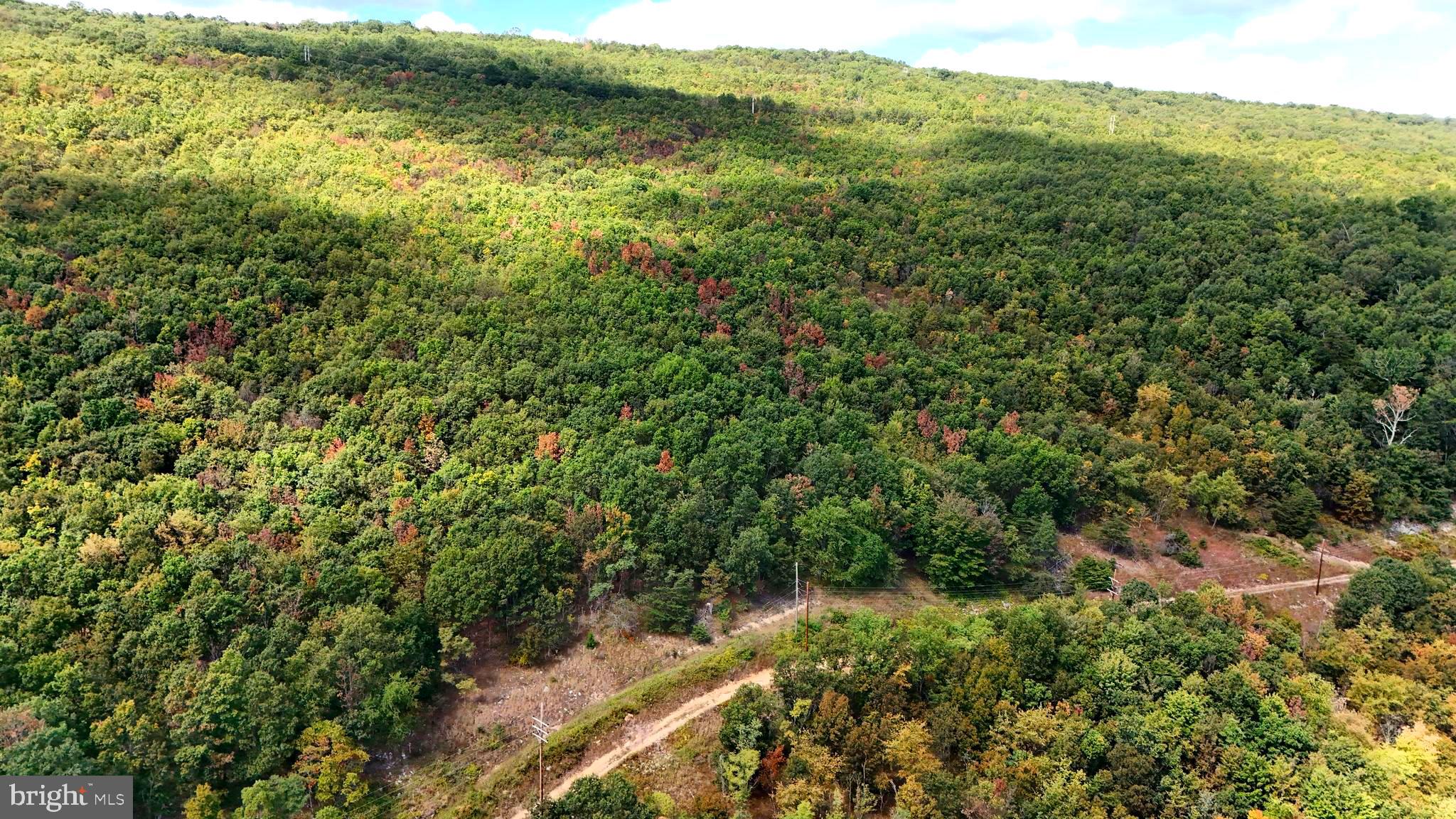 BOWLING GREEN - Residential