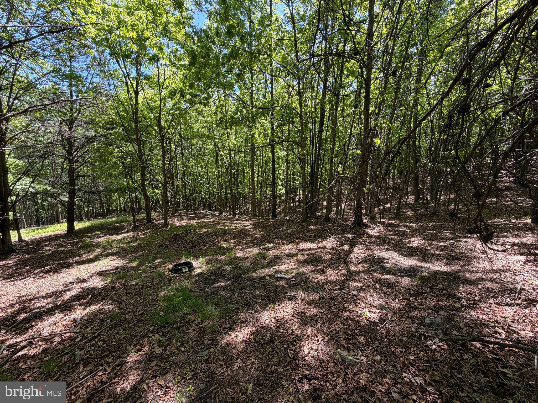 BOWLING GREEN - Residential