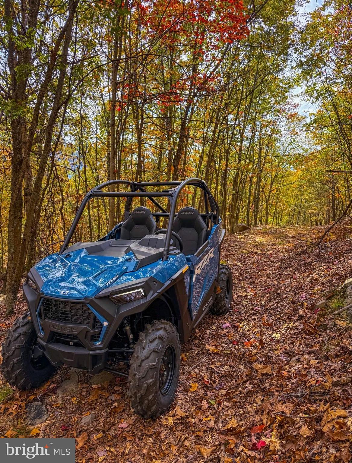 BOWLING GREEN - Residential