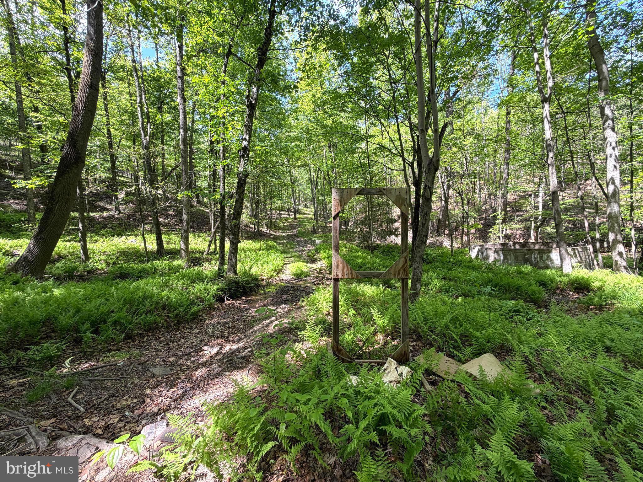 BOWLING GREEN - Residential