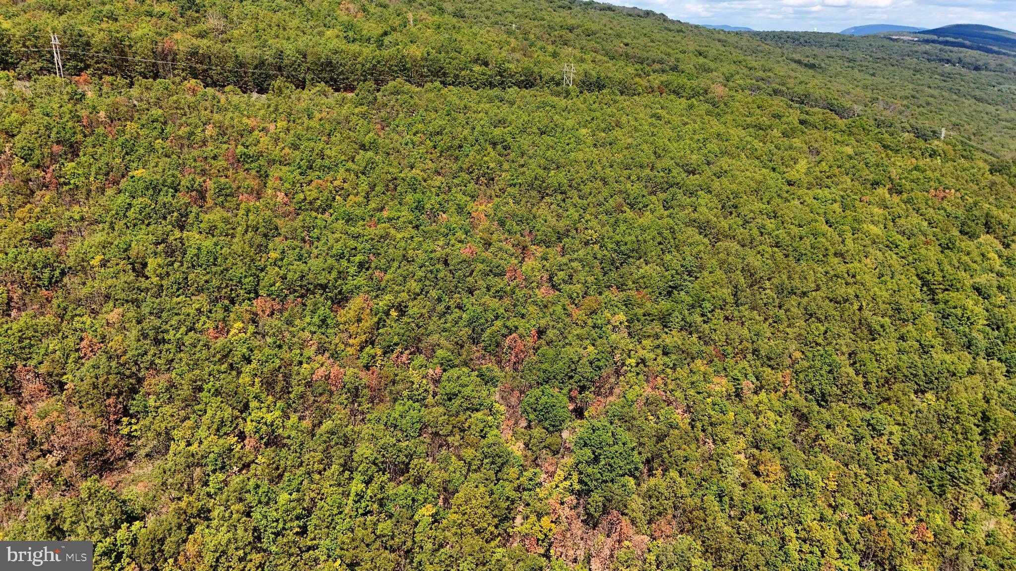 BOWLING GREEN - Residential