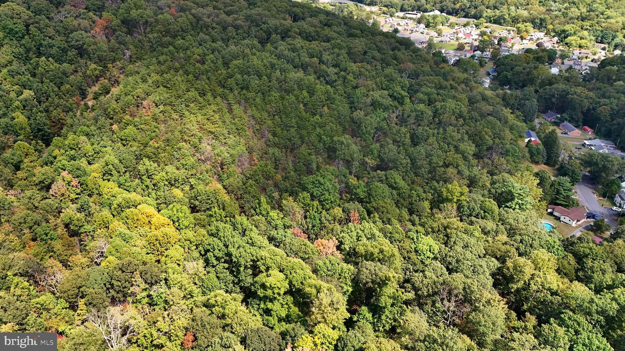 BOWLING GREEN - Residential