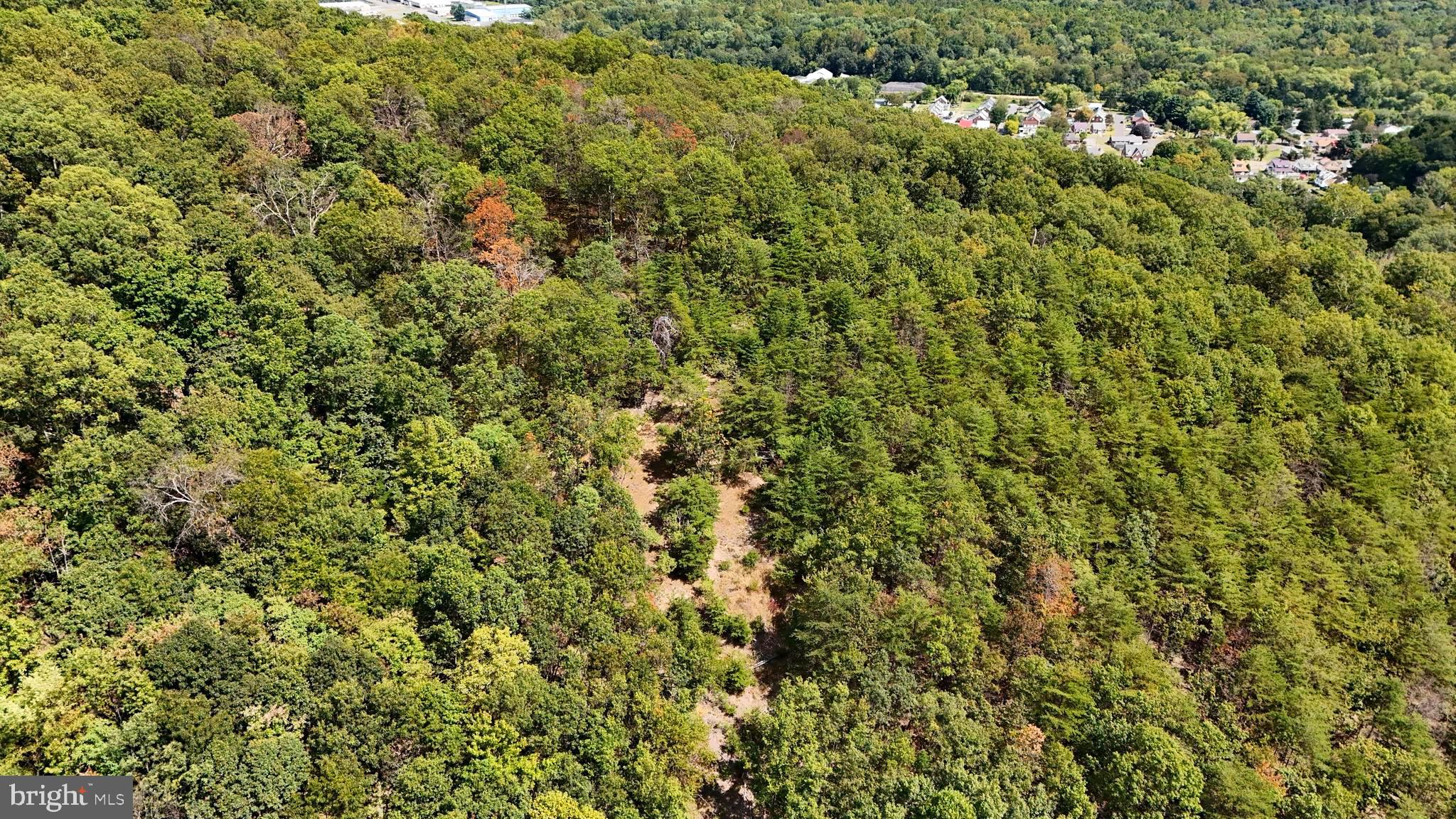 BOWLING GREEN - Residential