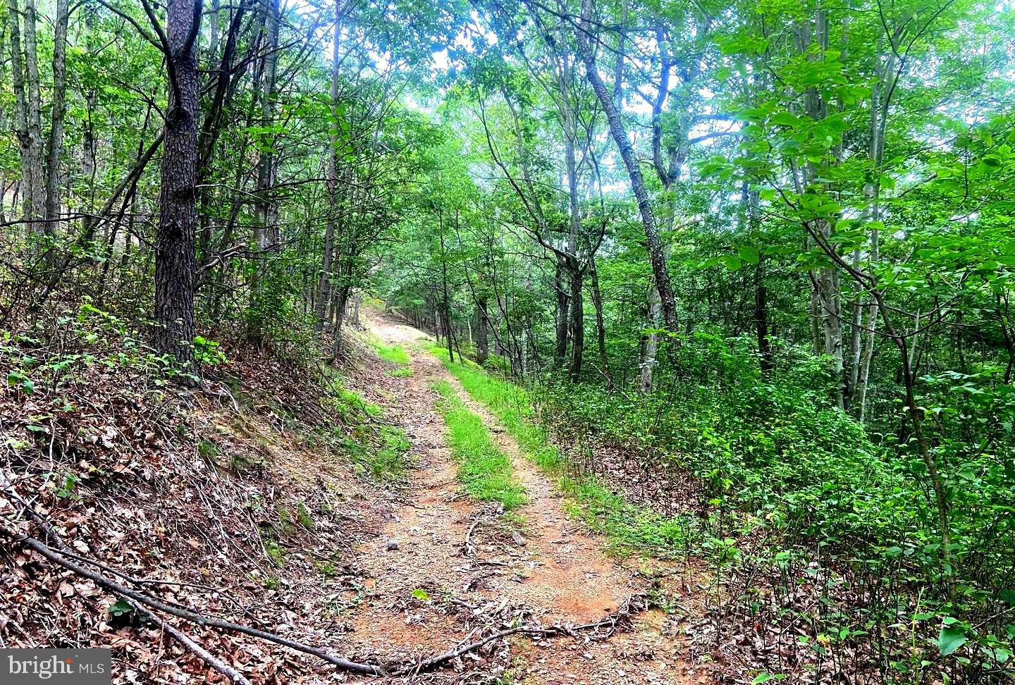 BOWLING GREEN - Residential