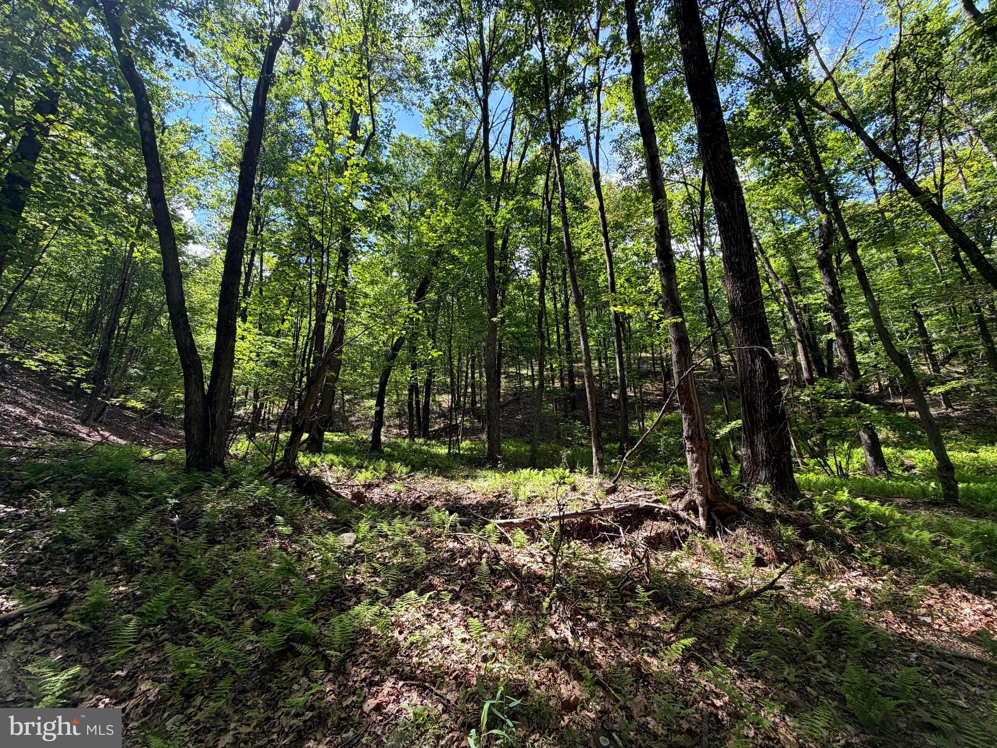 BOWLING GREEN - Residential